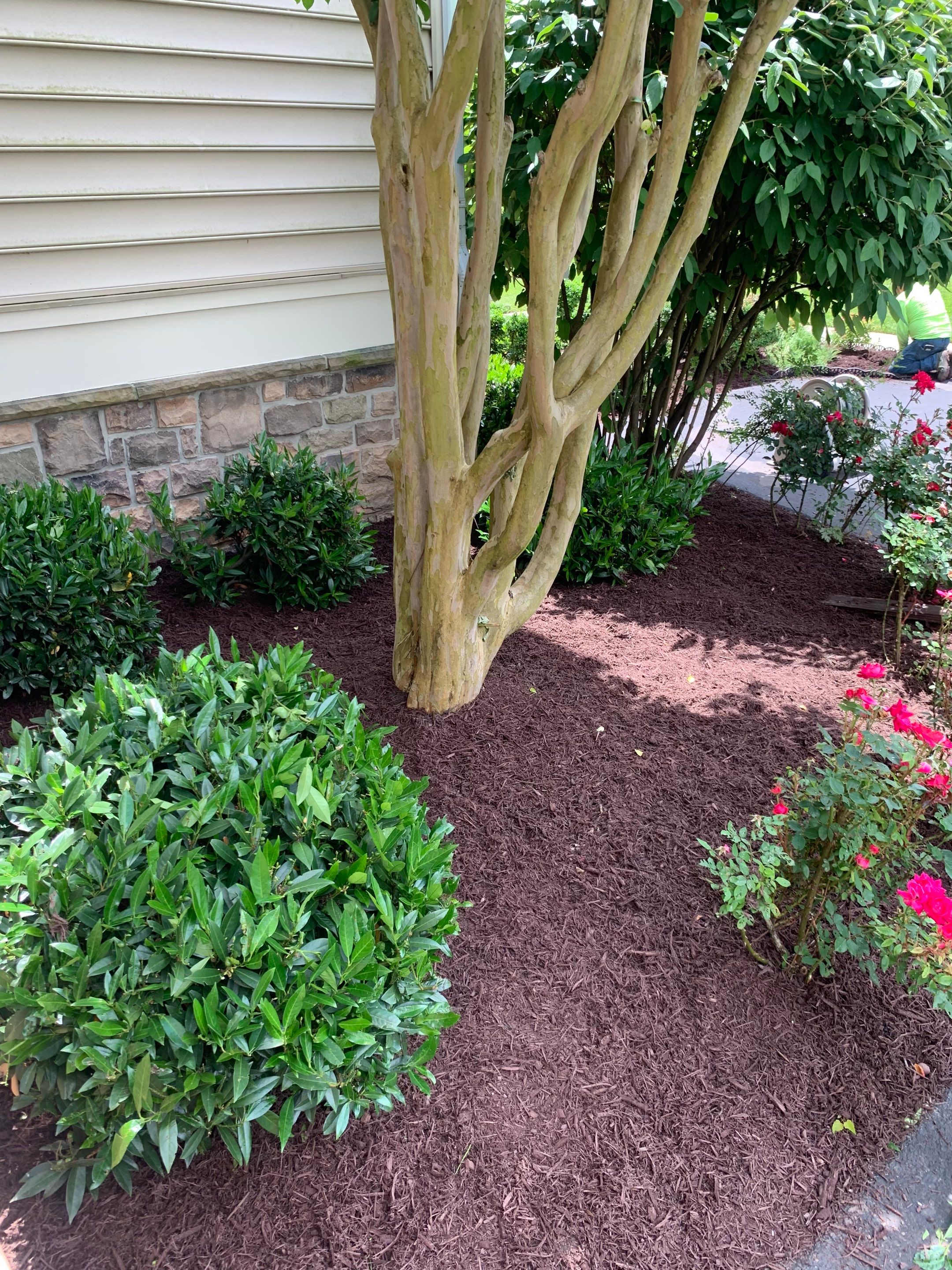 Landscape Cleanup & Mulch  by The Smet Companies, LLC