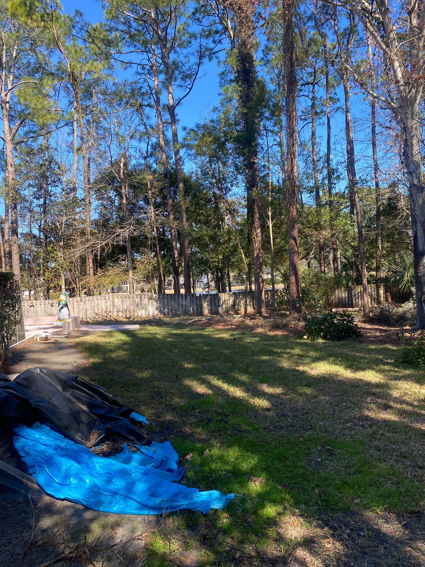 Deerwood Resident | Tree Removal & Clean-Up by ProGreen Services