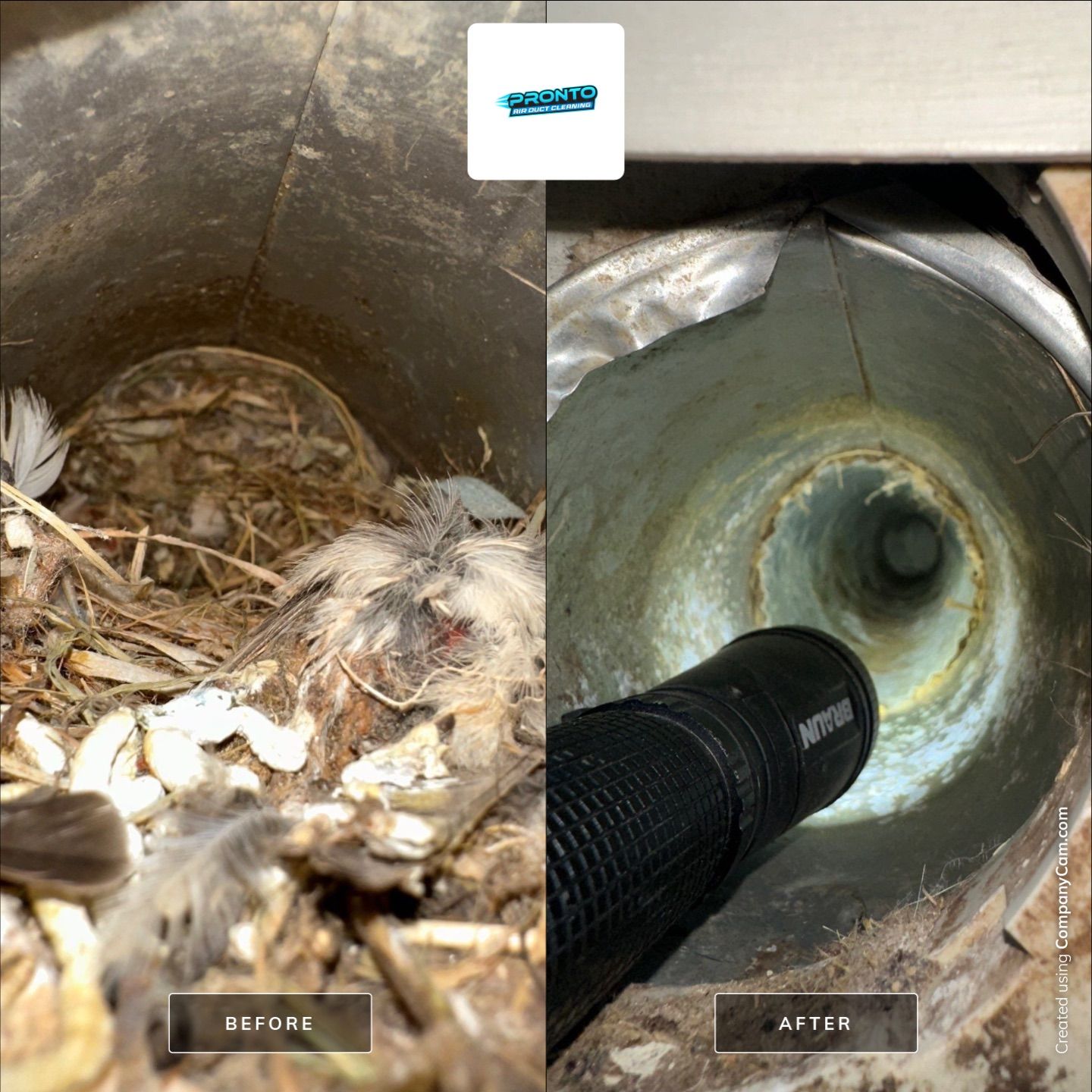 HVAC Duct Cleaning + Dryer Vent Clogged by Pronto Air Duct Cleaning