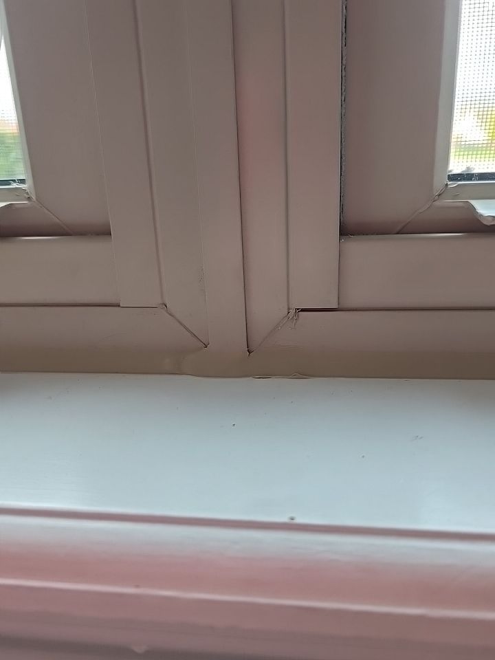 Roof and Windows! by Tamlin Roofing