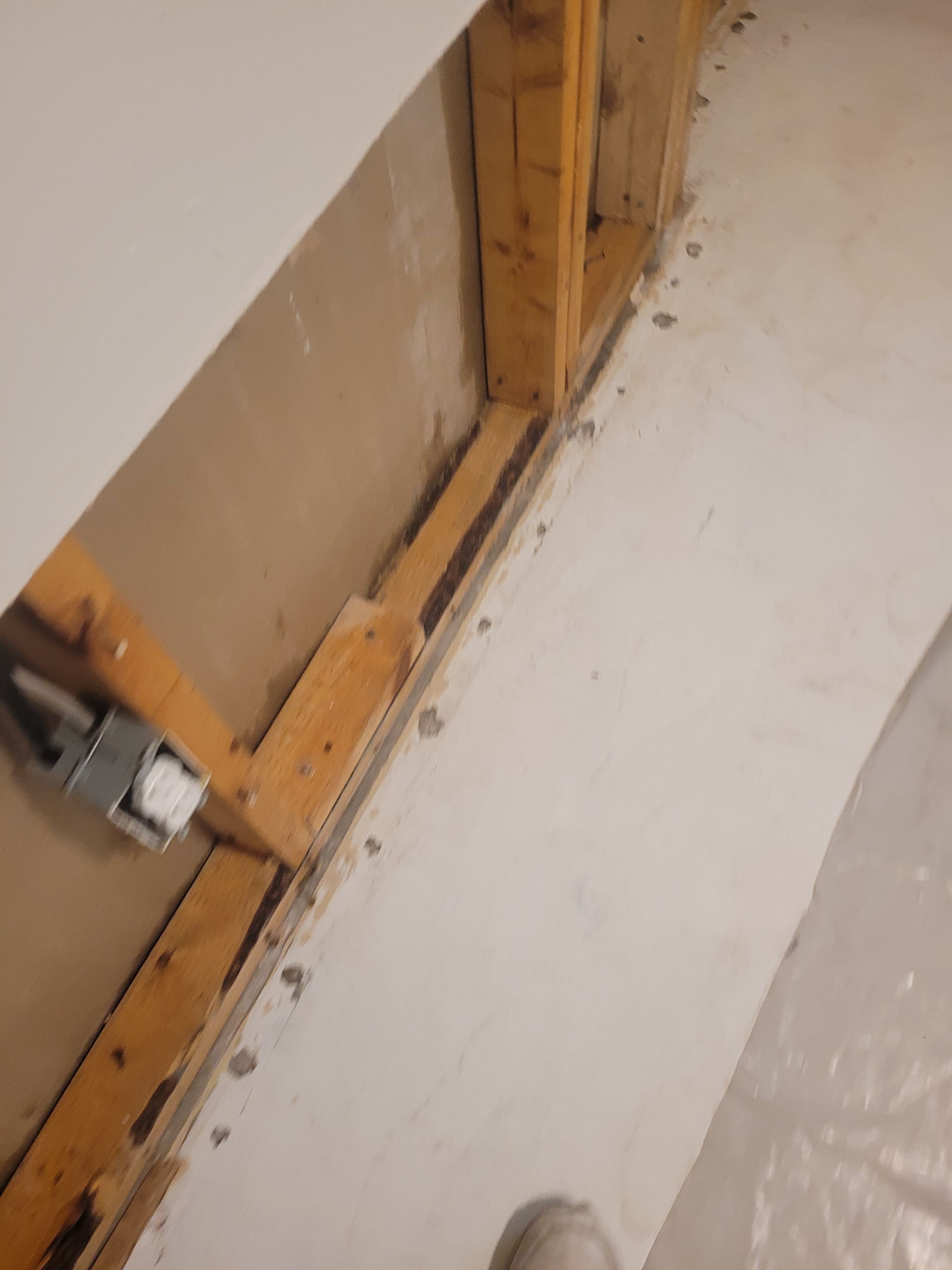 Water Damage  by Accountable Home Services