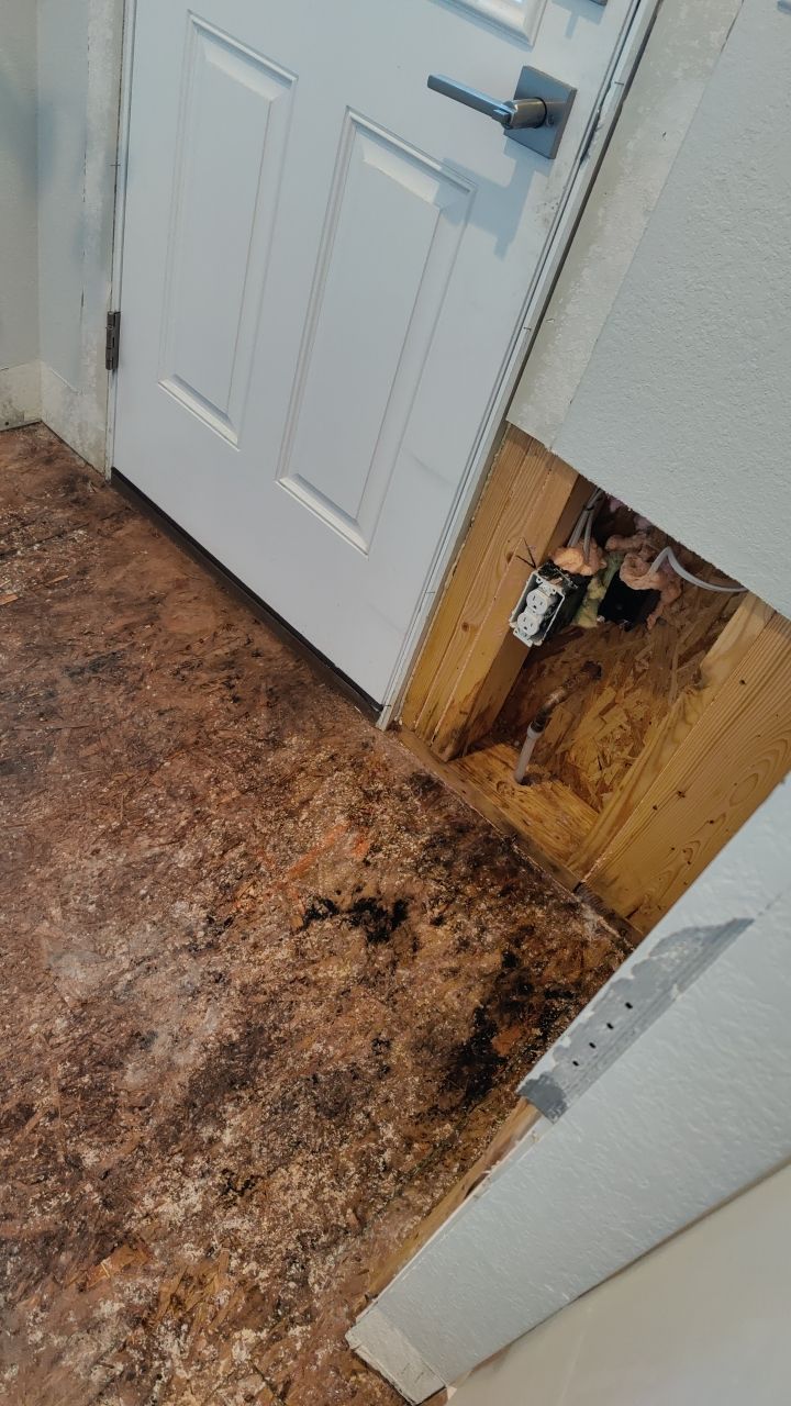 Mold Remediation  by Accountable Home Services