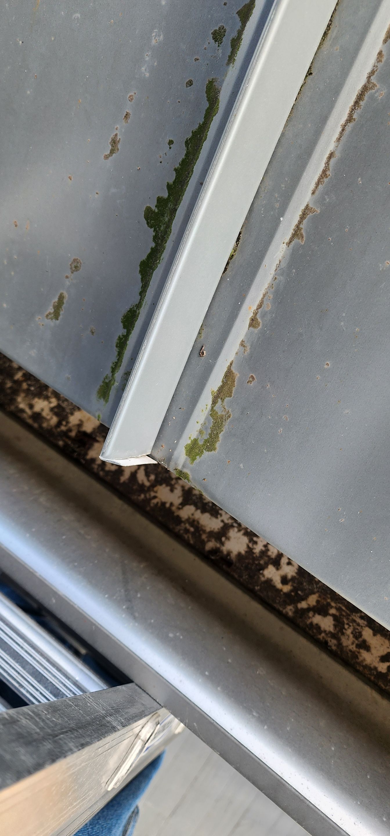 Project in Punta Gorda by Serene Construction