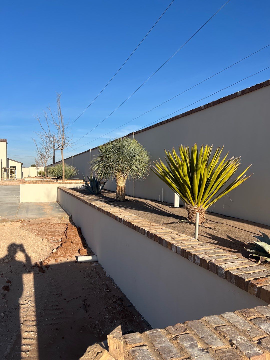 Kiehne Residence by Agave Garden