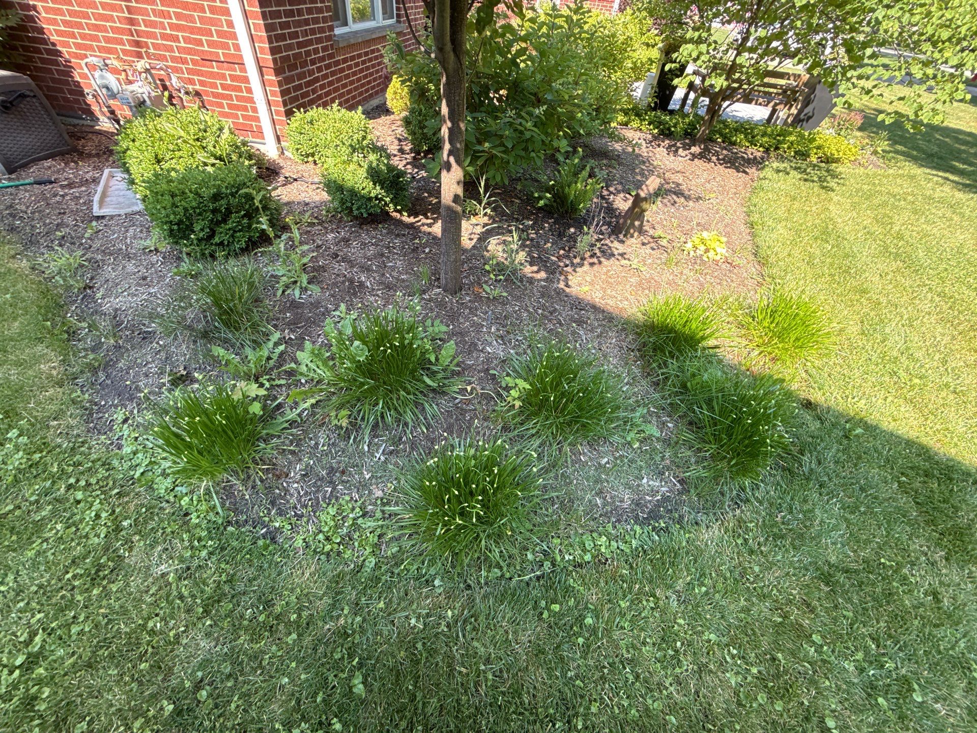 Rob M. - Arlington Heights, IL by A&N 