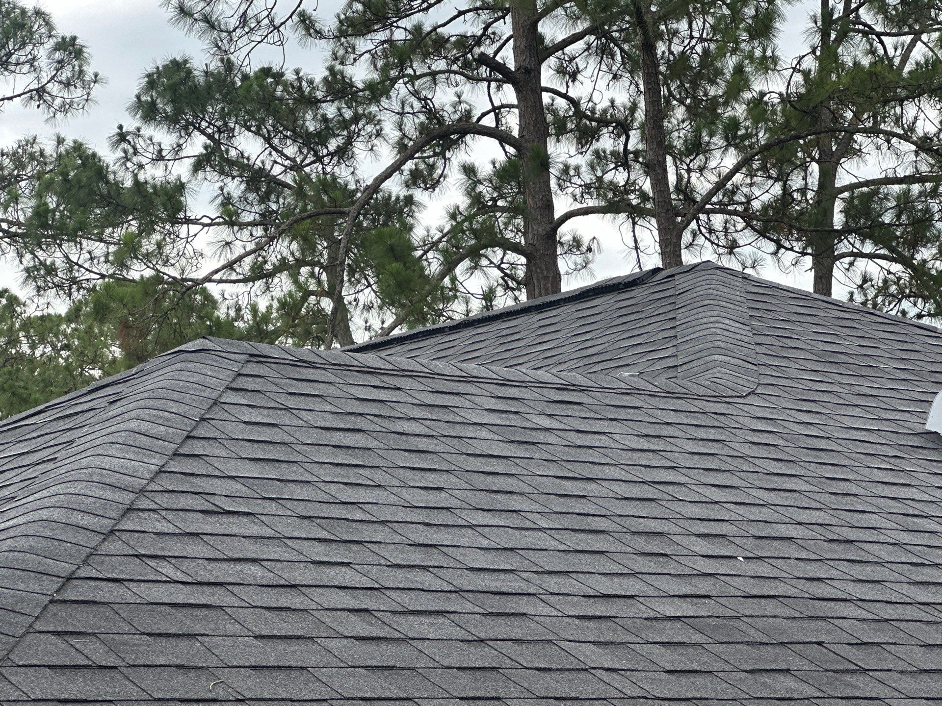 Shingle Reroof Replacement  Deltona FL by Pinnacle Roofing Group