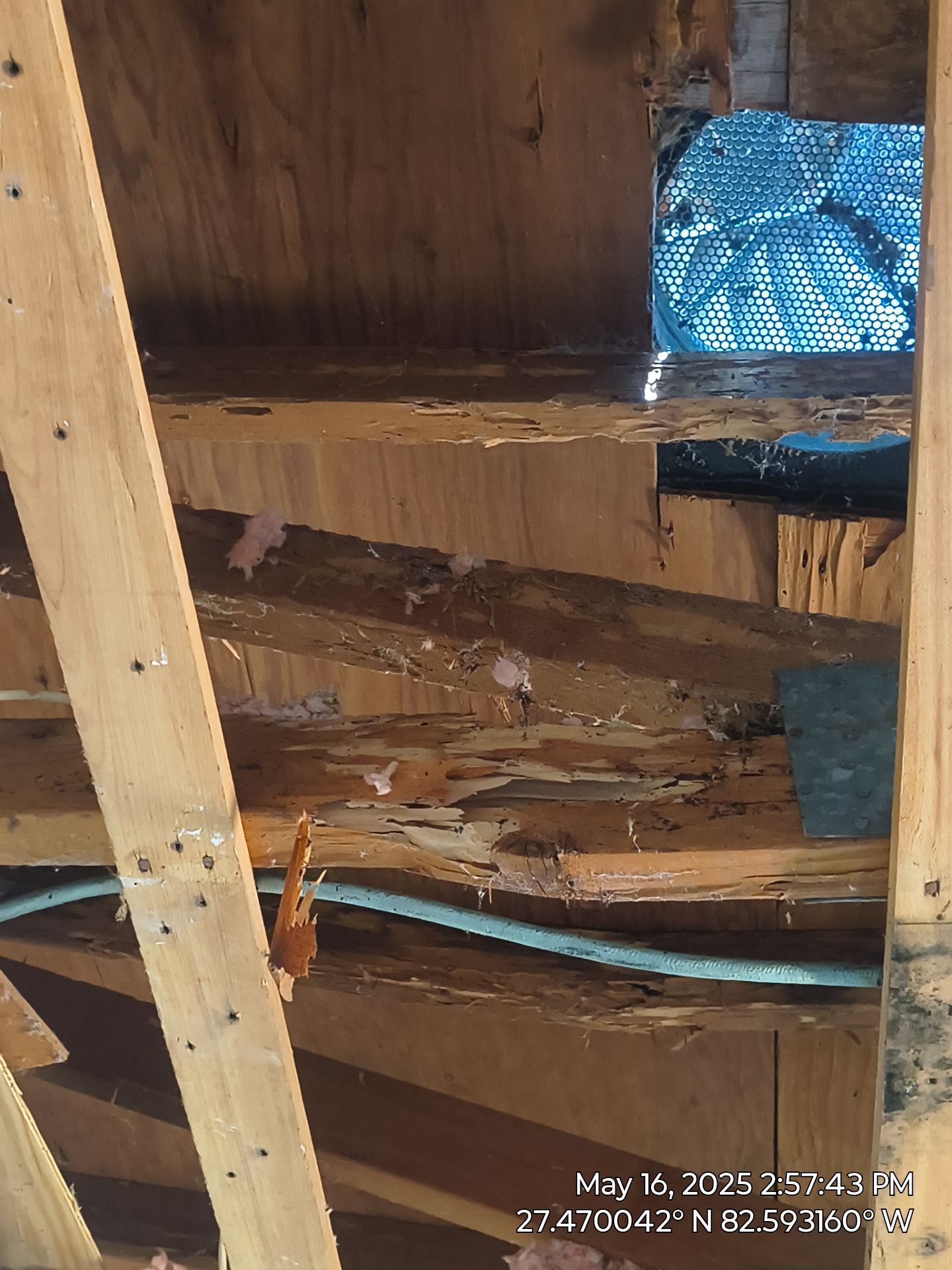 Rooster Roofing, LLC featured photo.