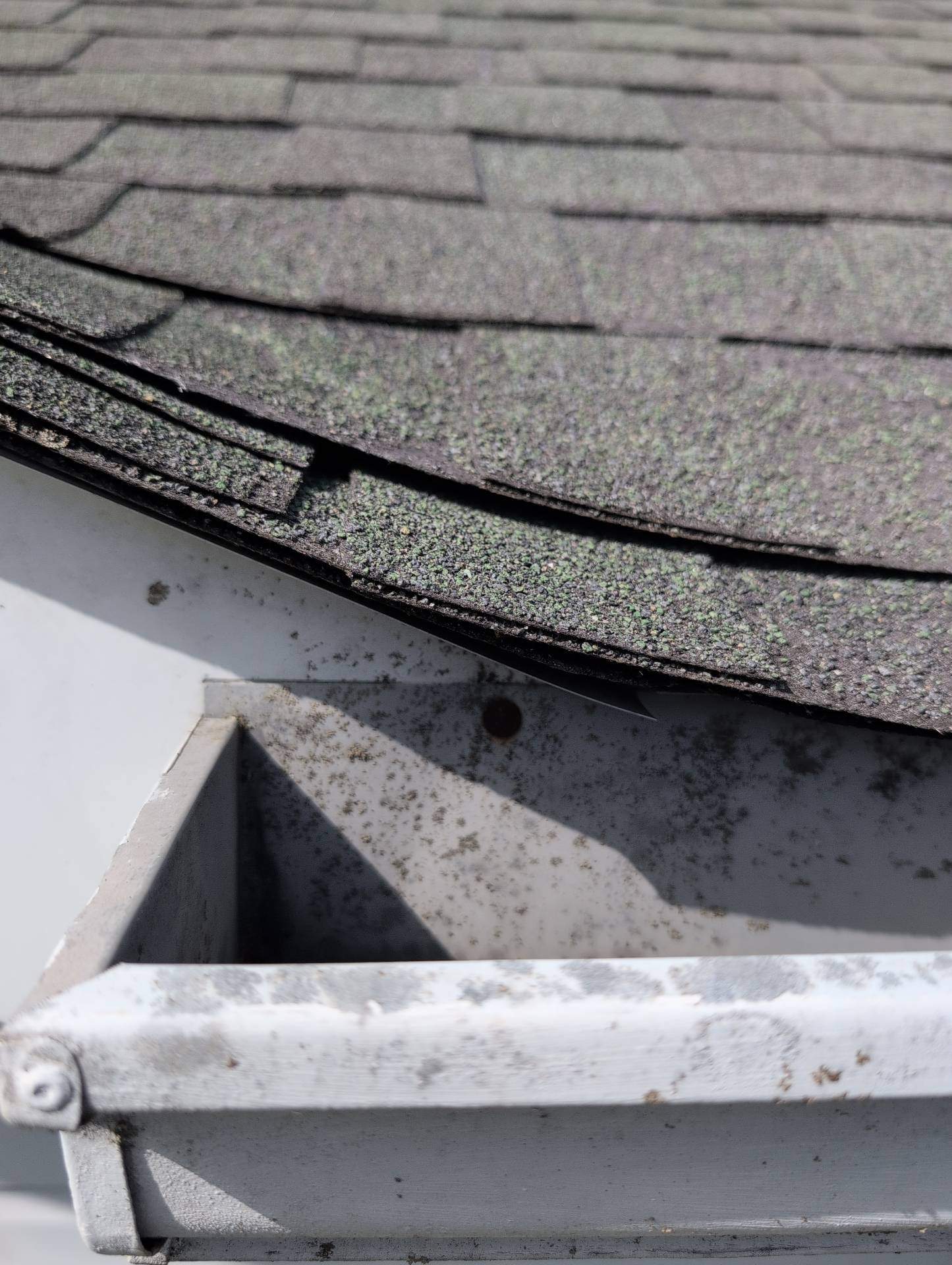 Roof Replacement & Seamless Gutters in Cape Fair by Table Rock Design + Build