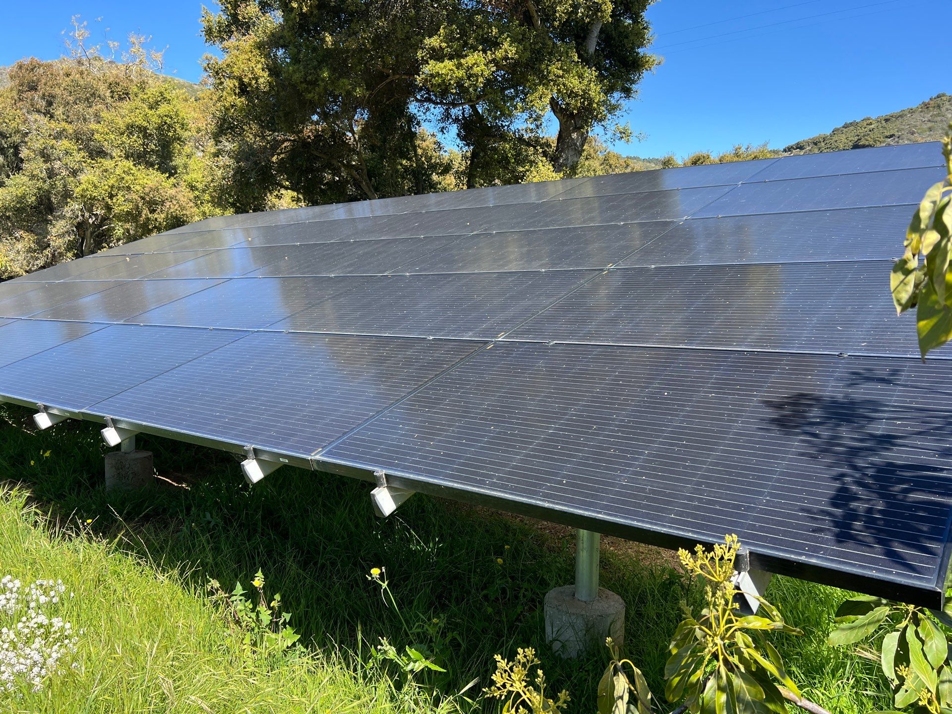 Groundmount Solar Cleaning by Sunrise 805