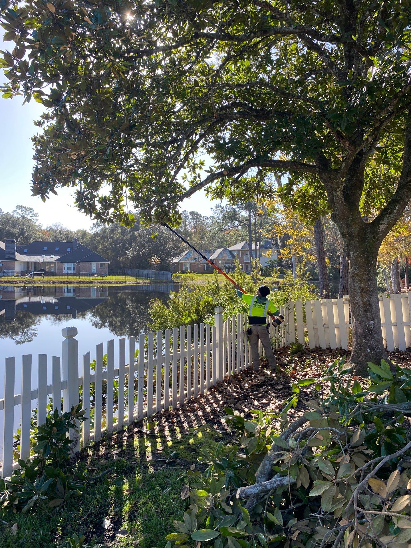 Deerwood Resident | Tree Removal & Palm Trimming by ProGreen Services