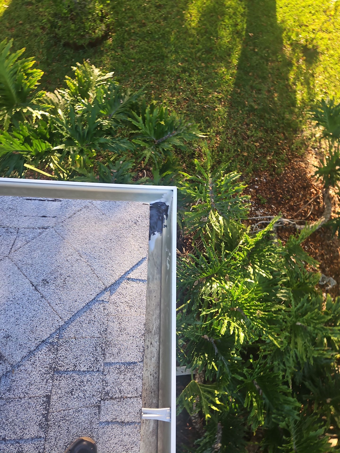 Cleaning Gutters in Sarasota FL by Gutter Professors