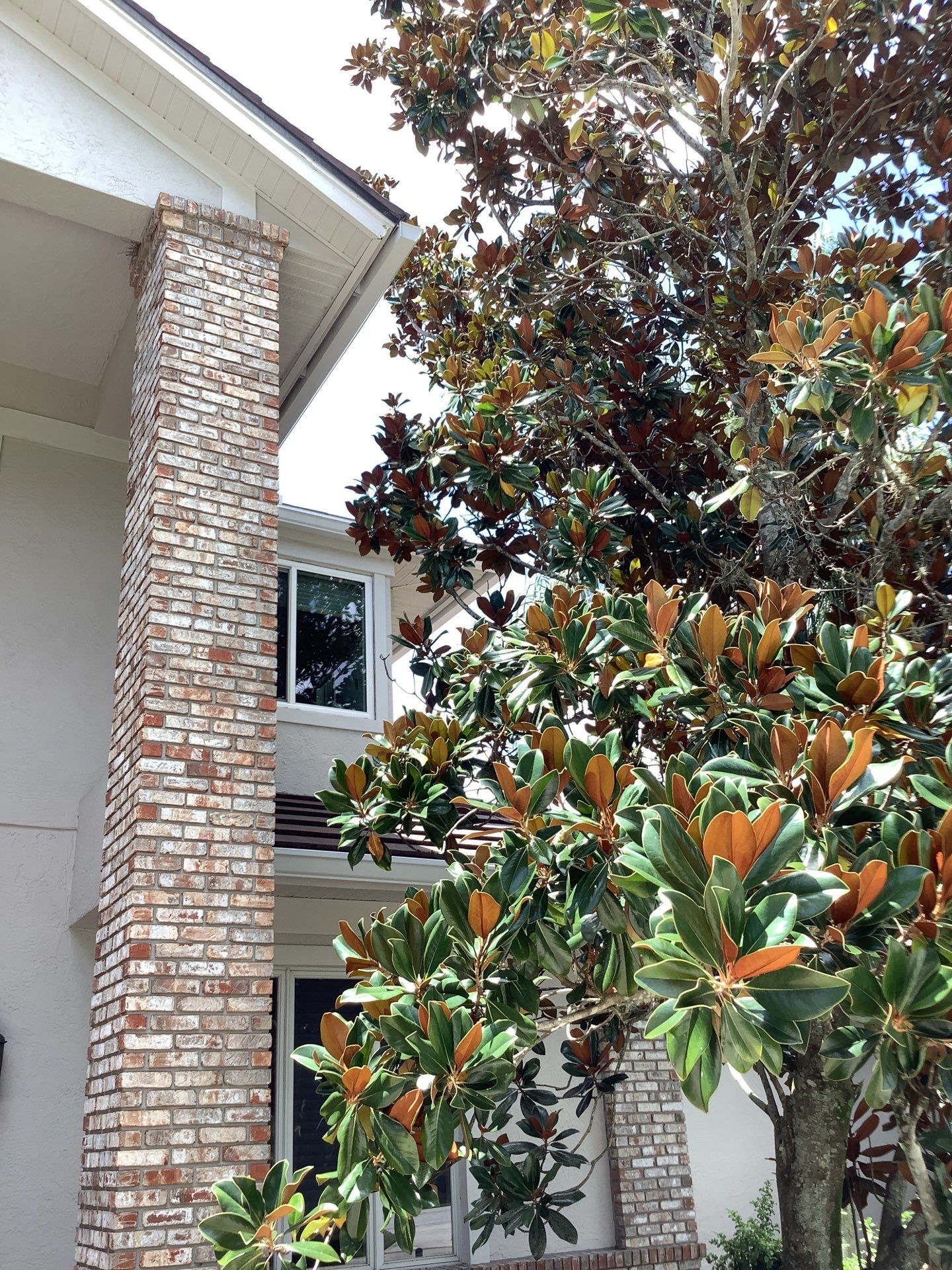 Seamless Gutters for Modern Homes in Sarasota FL by Gutter Professors