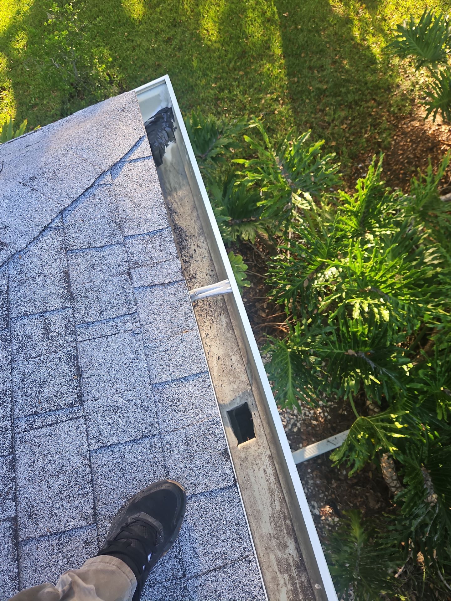 Cleaning Gutters in Sarasota FL by Gutter Professors