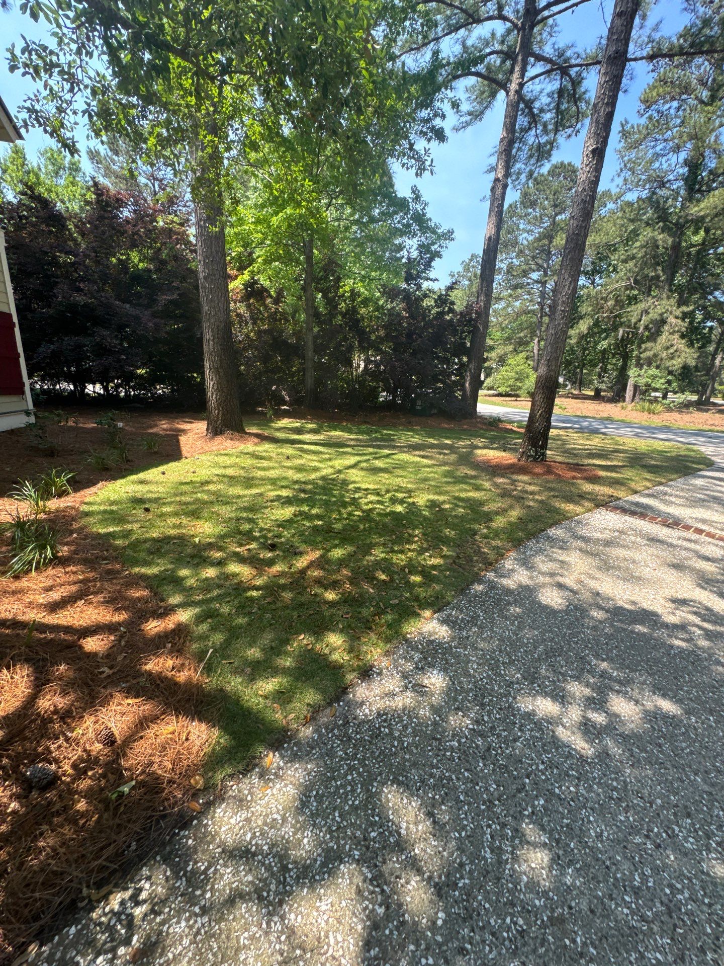 Comprehensive Landscape Design and Custom Hardscape Installation in Bluffton by Lowcountry Scapes, LLC