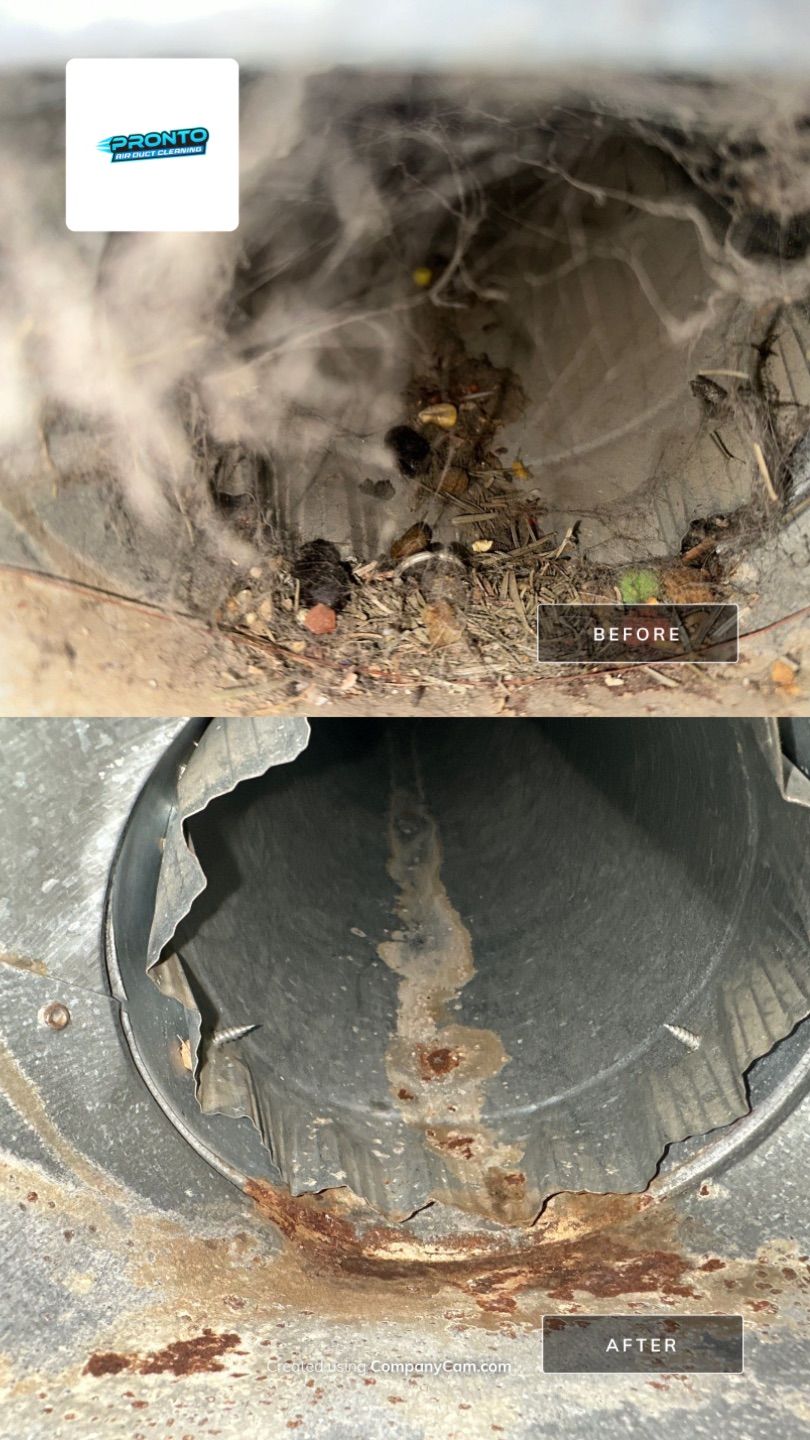 Air Duct Cleaning Manassas VA by Pronto Air Duct Cleaning
