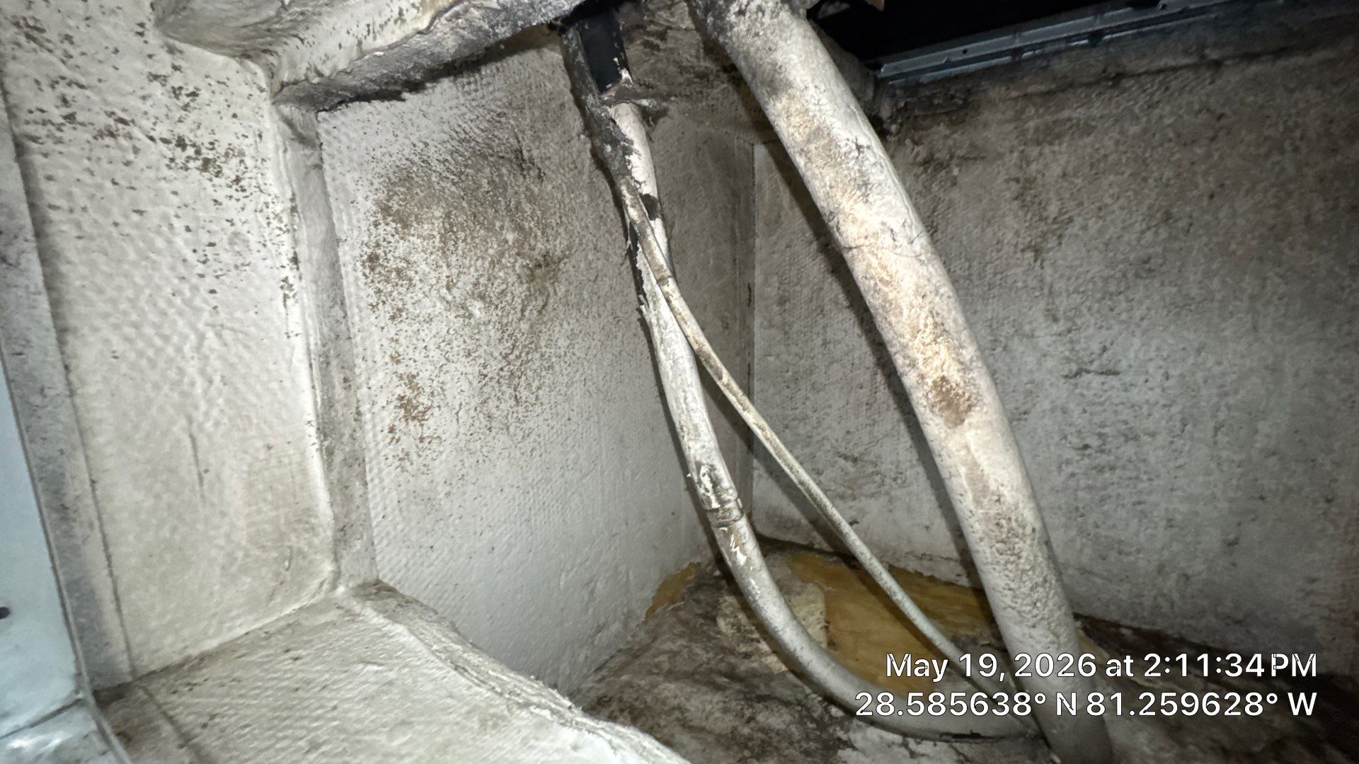 Air Duct Cleaning in Orlando by Hygienic Air, Inc