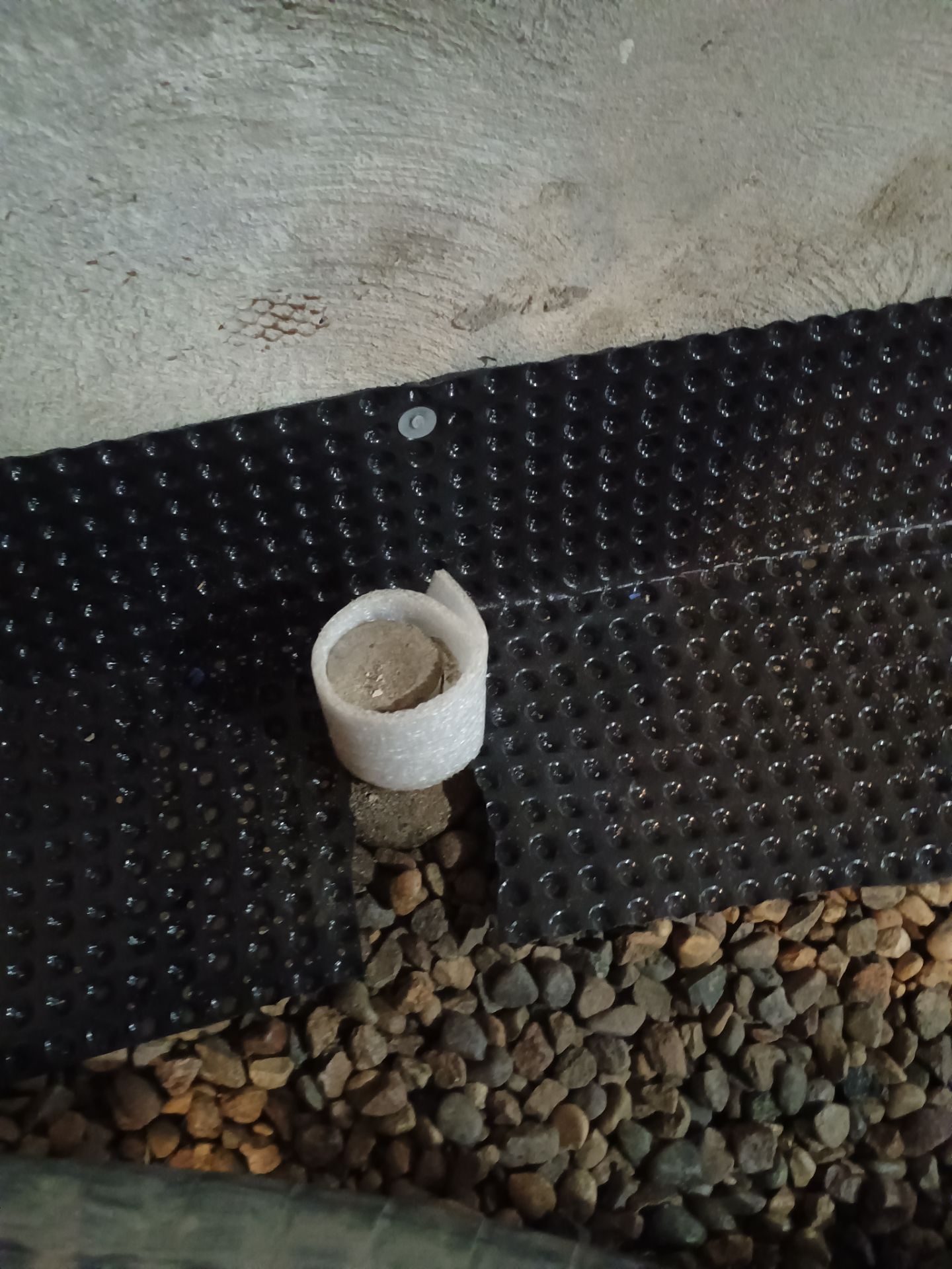 Basement Waterproofing Gone Wild by Waterproofing Northeast