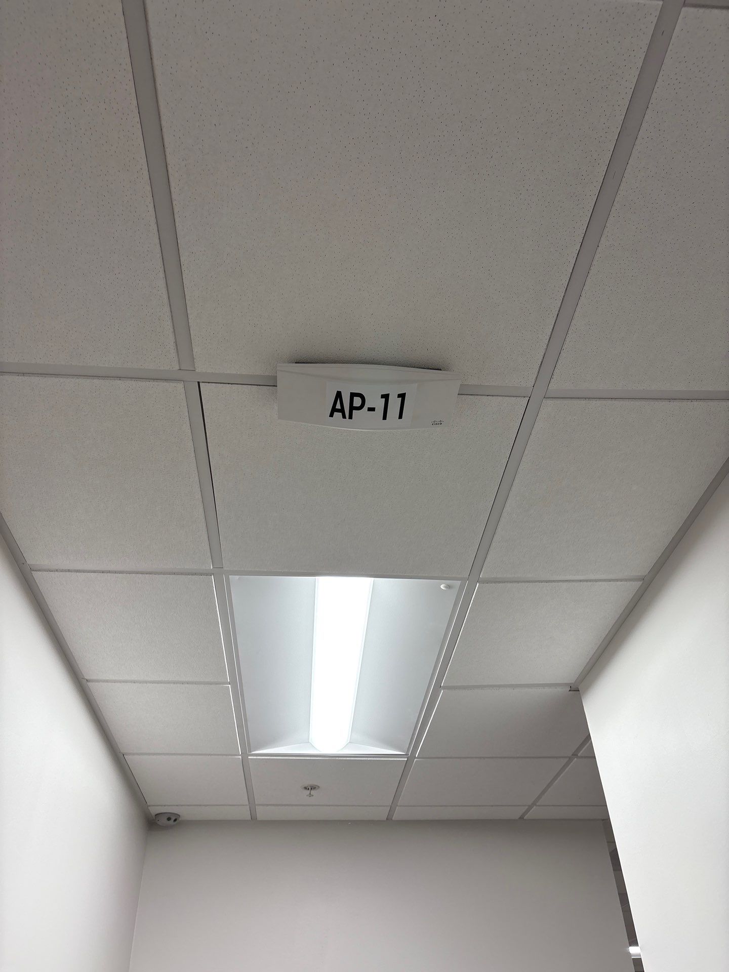 Project in San Bernardino by Ring and Ping Inc.