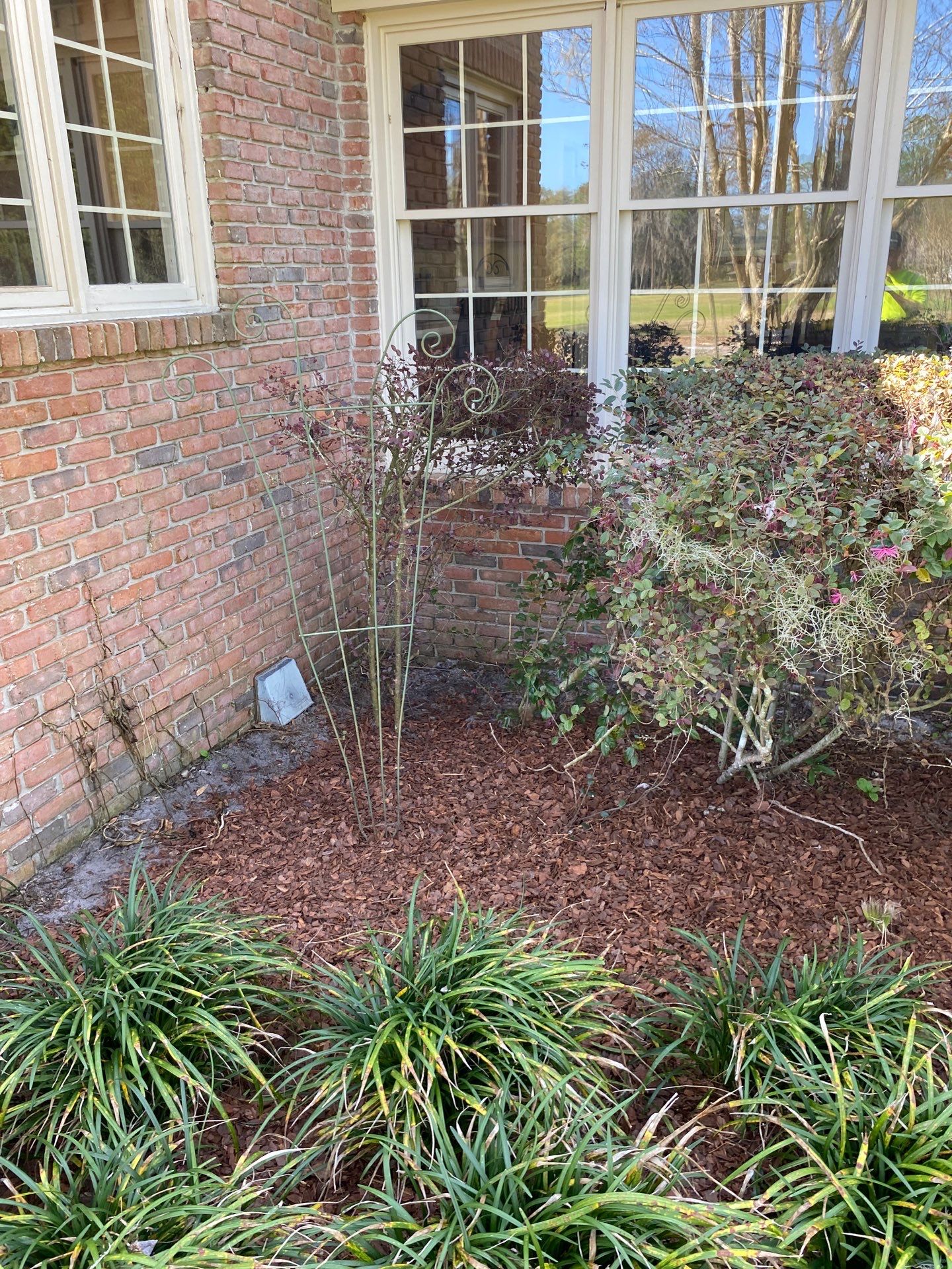 Deerwood Resident | Landscaping by ProGreen Services