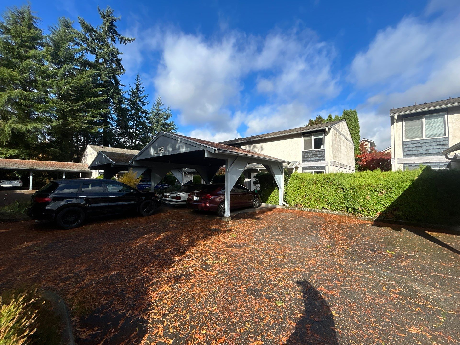 Project in Shoreline by Connolly Construction Company