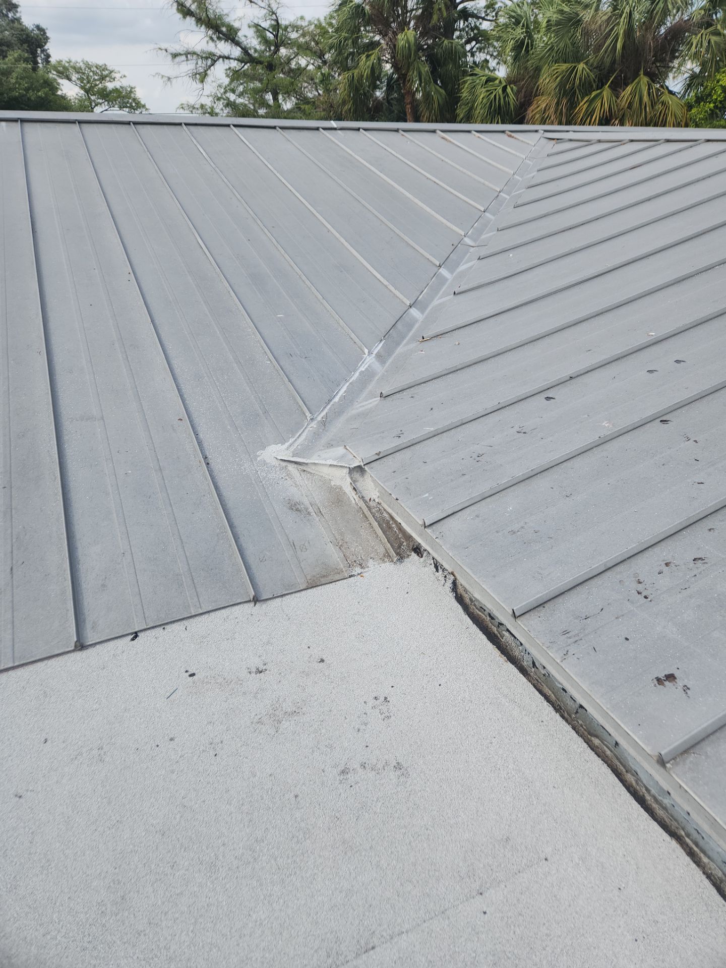 Flat Roof Replacement and Fascia Repair in Margate by Aastro Roofing