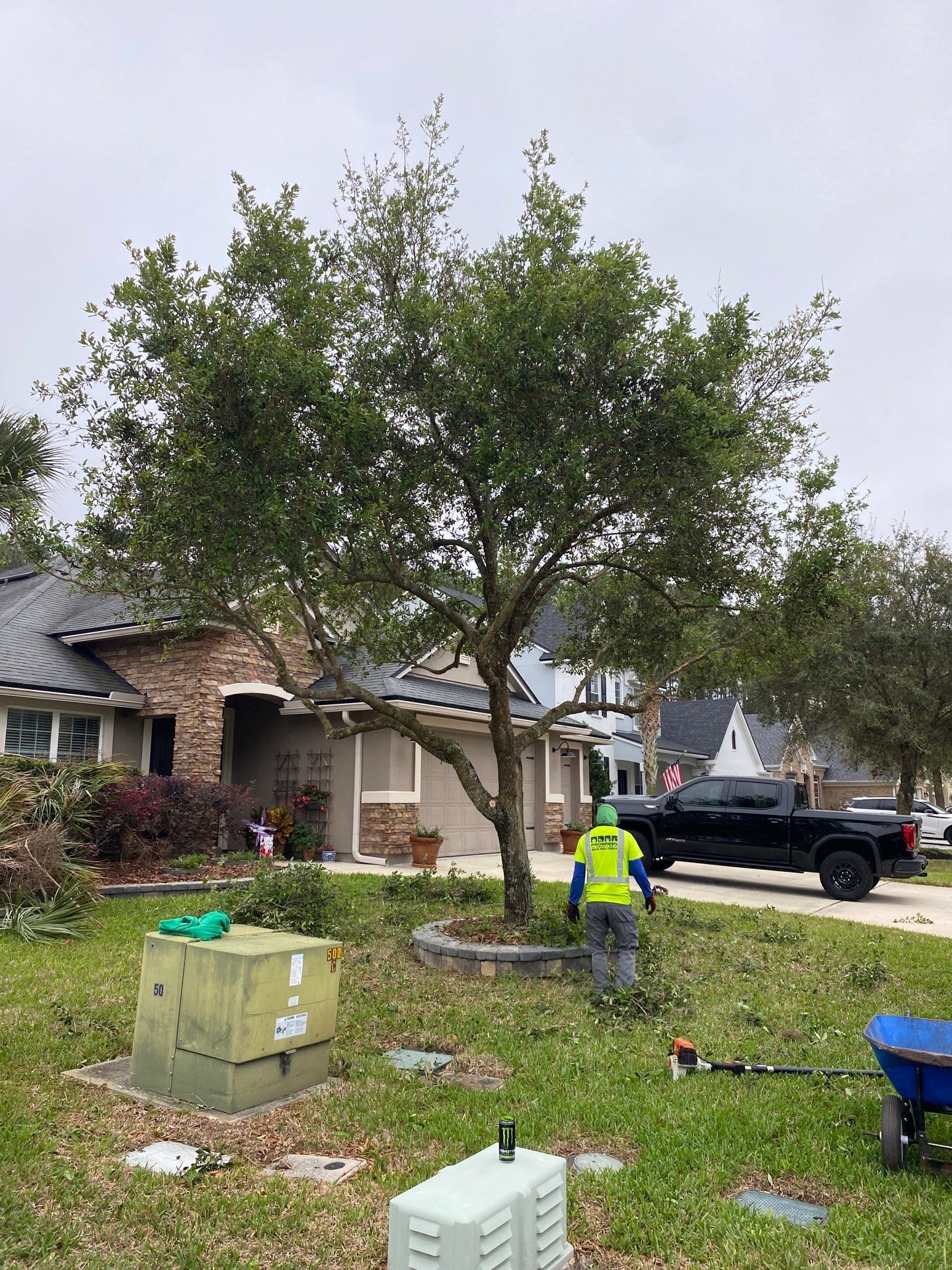 Residential | Tree Service by ProGreen Services
