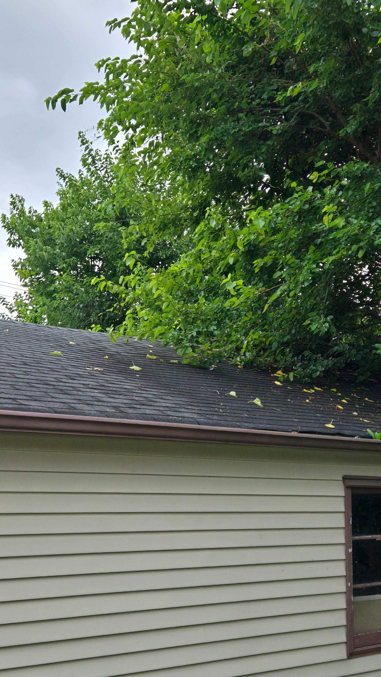 Residential Shingle Upgrade & Curb Appeal Refresh by Level Up Roofing and Restoration Services LLC