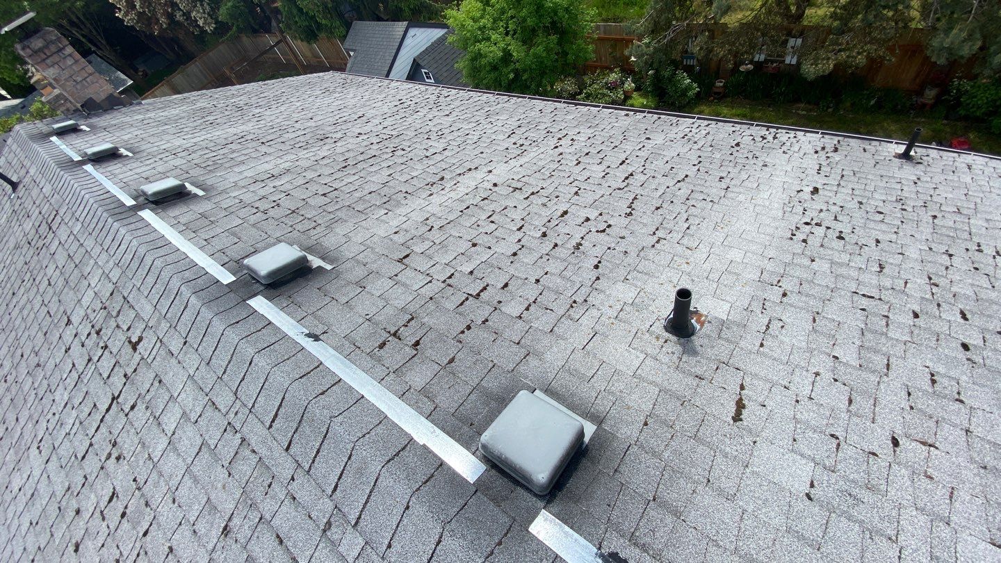 Estate Gray Shingles by Reimagine Roofing