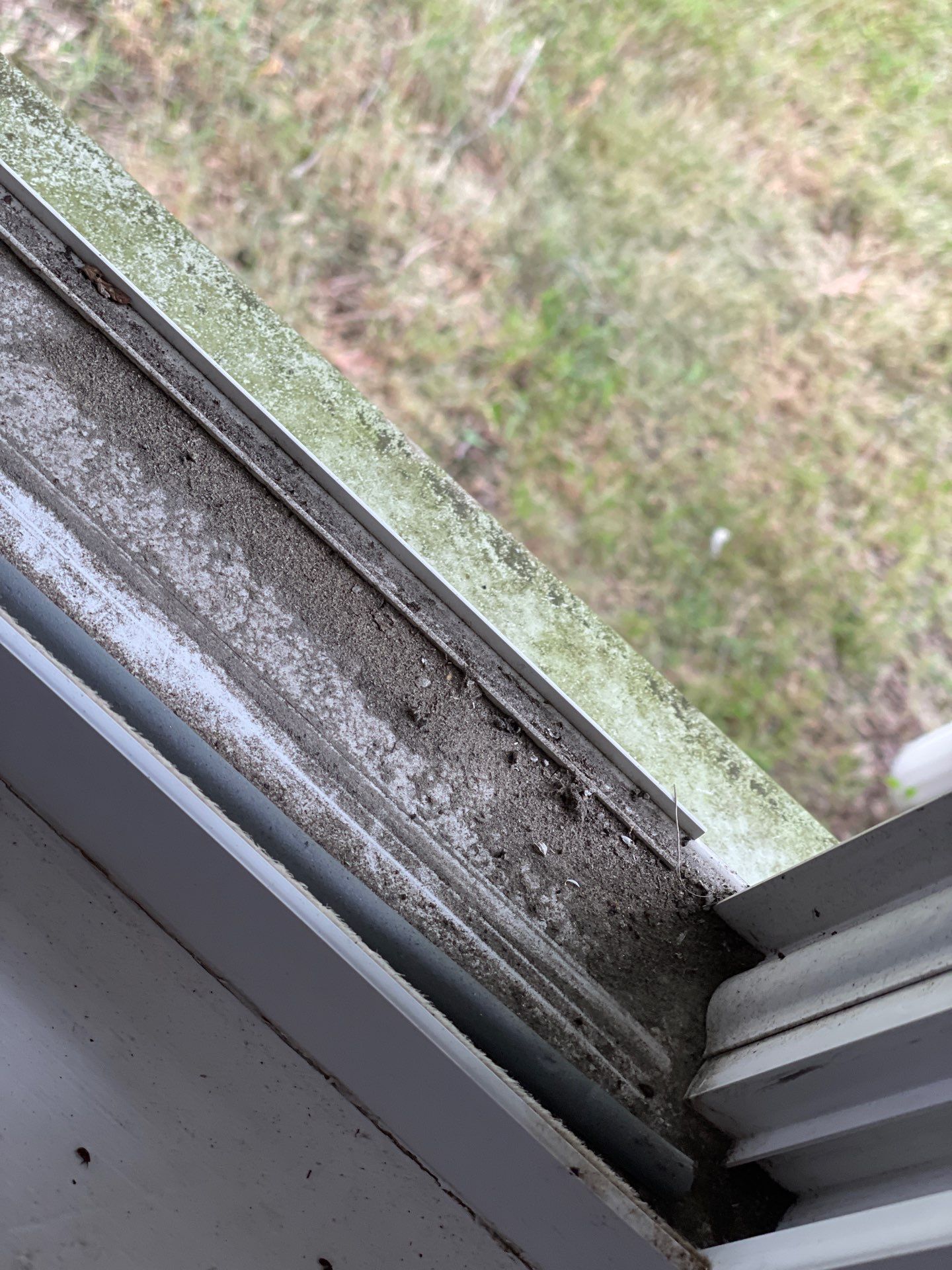 Project in Warwick by Mg House Cleaning