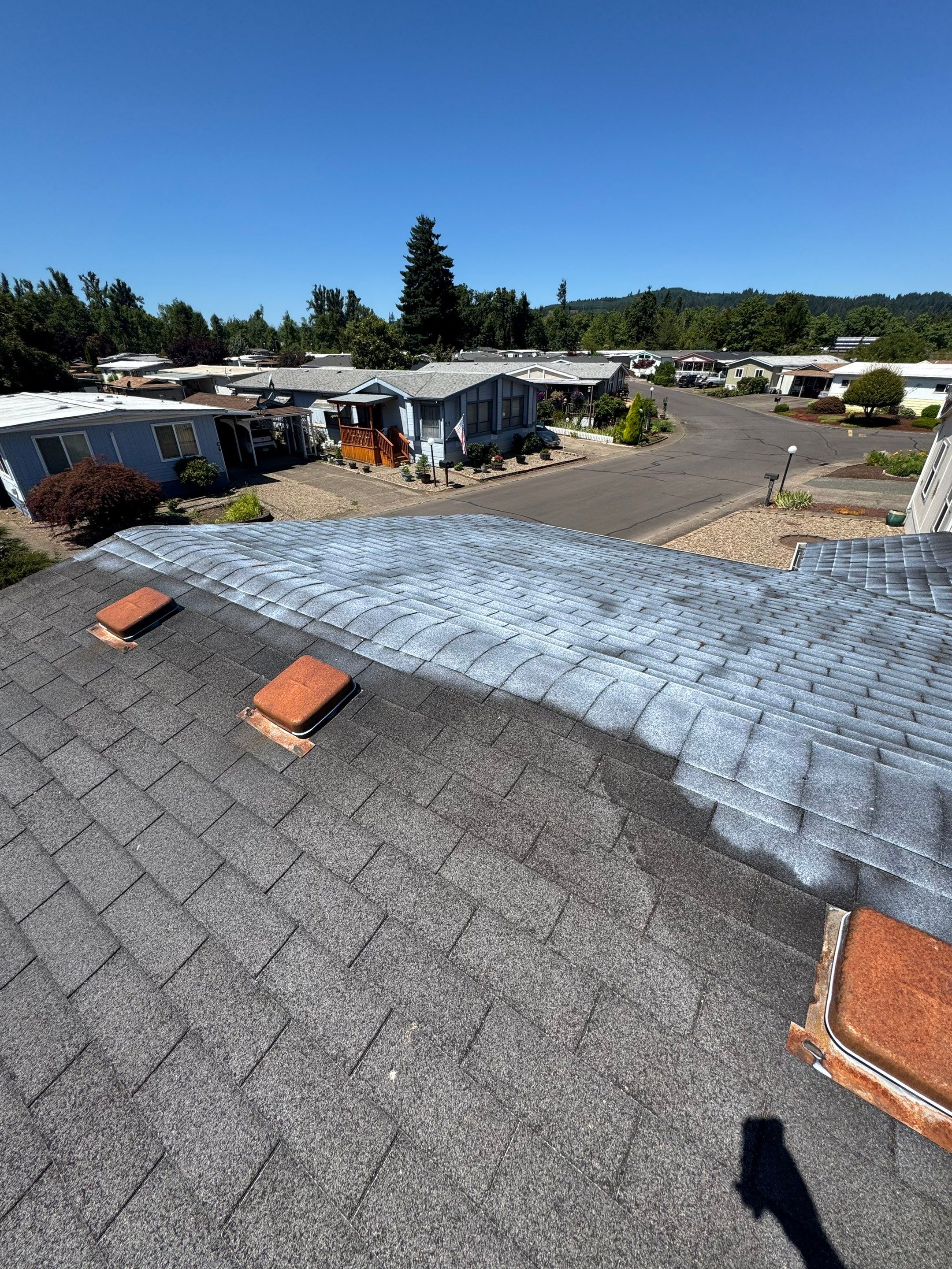 Project in Cottage Grove by Roof Maxx of Grants Pass