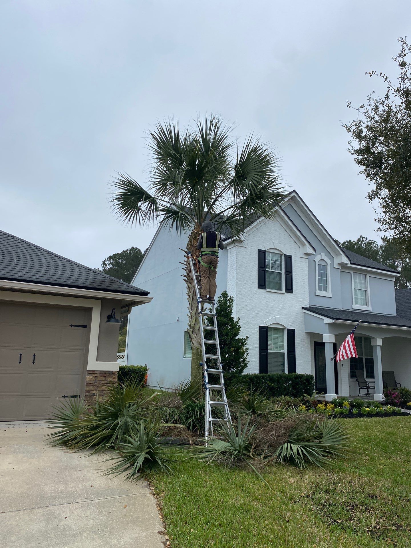 Residential | Tree Service by ProGreen Services