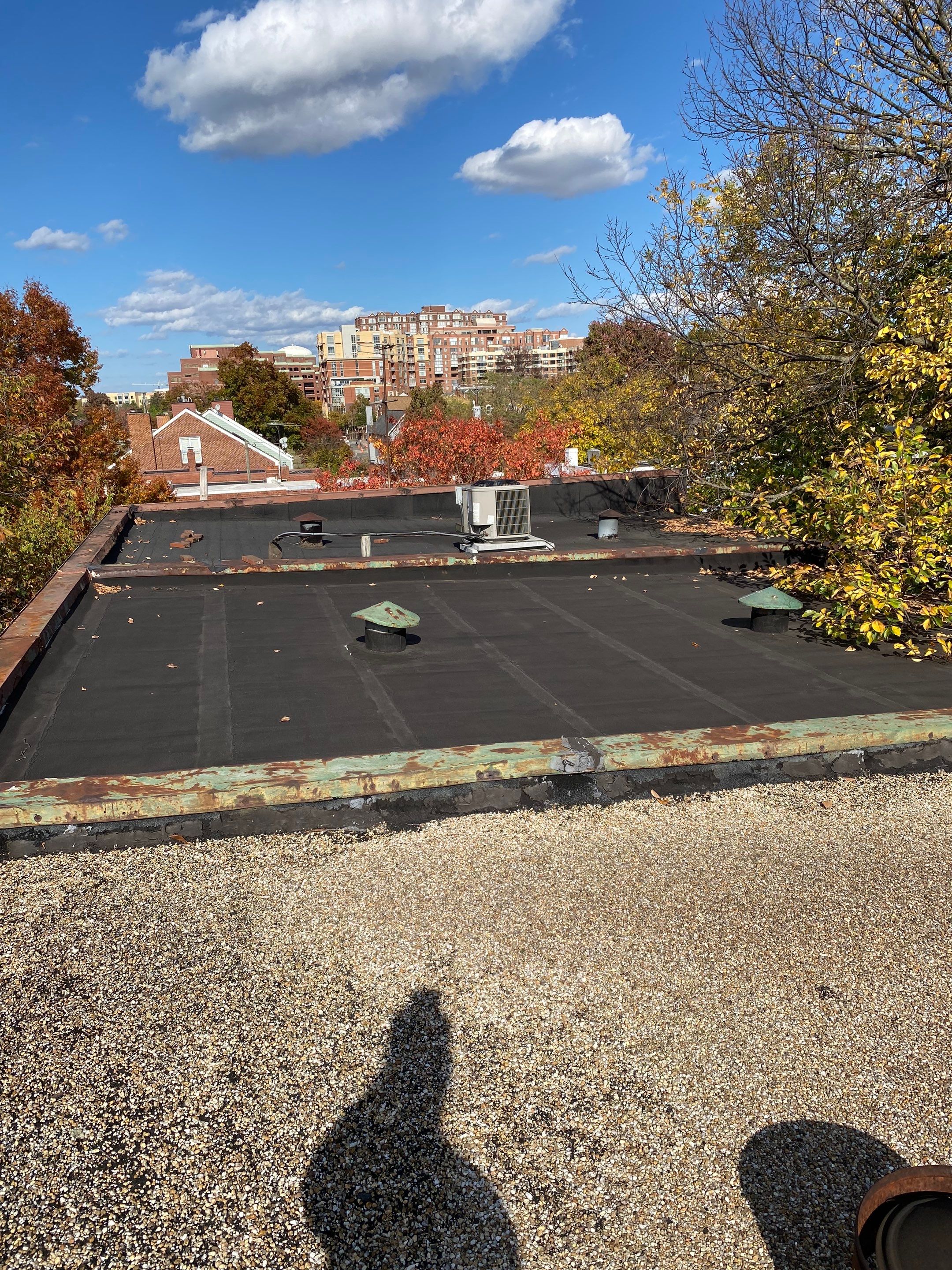 Alexandria: Residential Flat Roof Replacement with Mule Hide TPO Membrane by RM Banning, Inc.