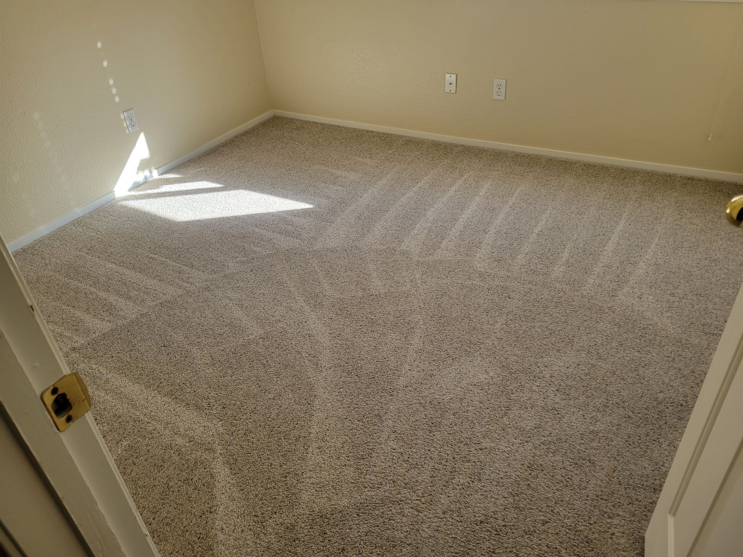 Carpet Re-install after Water Damage by Ardent Carpet Restore LLC