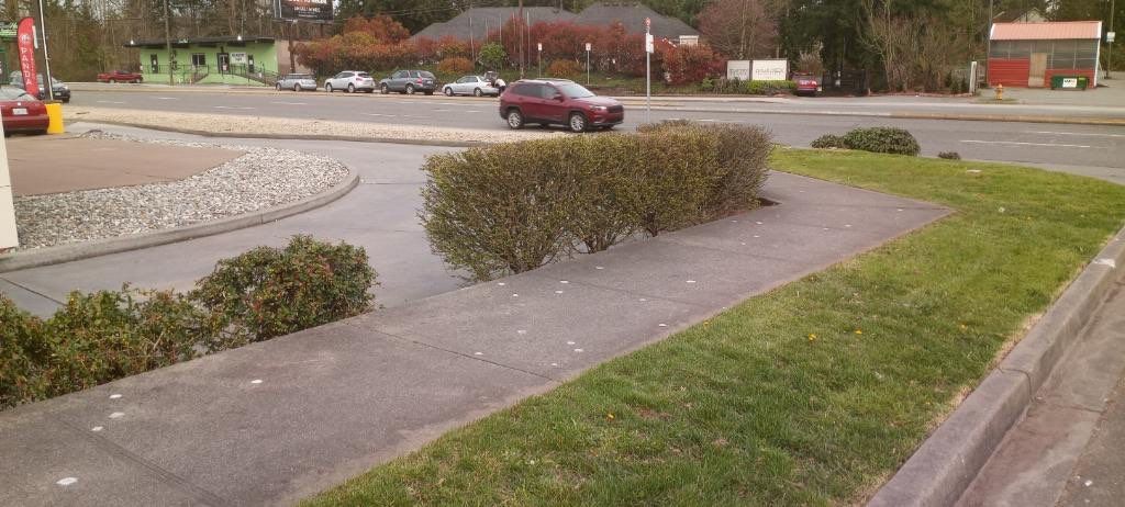 Panda Express | Striping  by Jireh Asphalt & Concrete Inc 