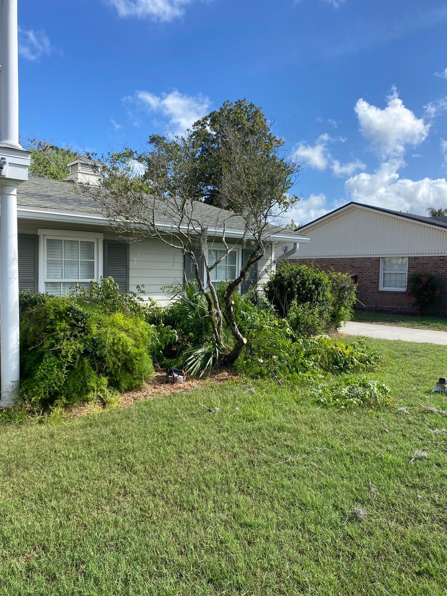 Residential | Tree Removal & Trimming by ProGreen Services