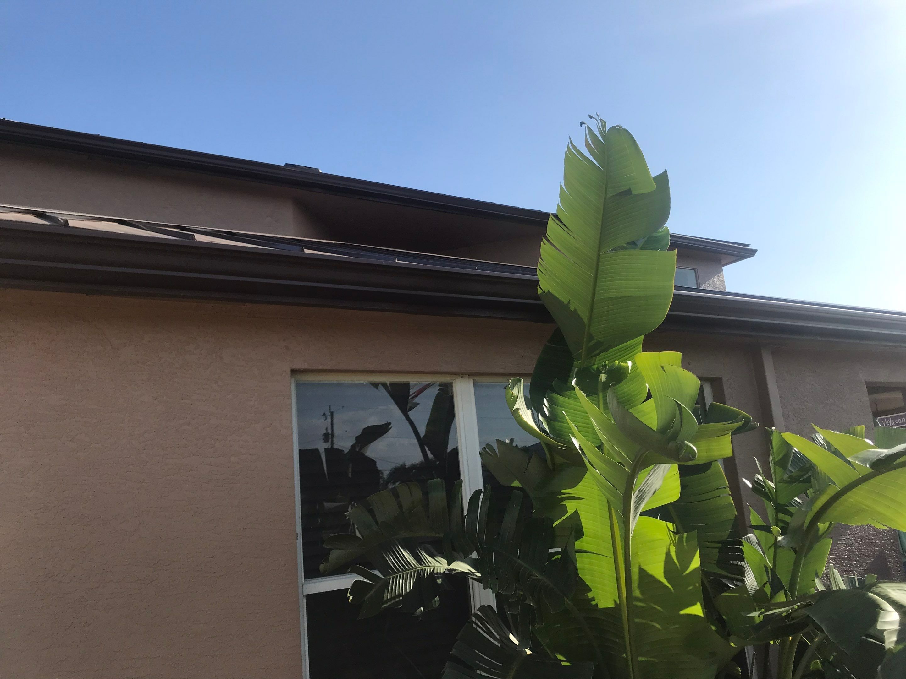 Brown Seamless Gutters using Royal Brown in Cape Coral by Gutter Professors