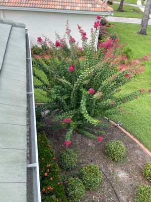 Gutter Cleaning Service in Parrish FL