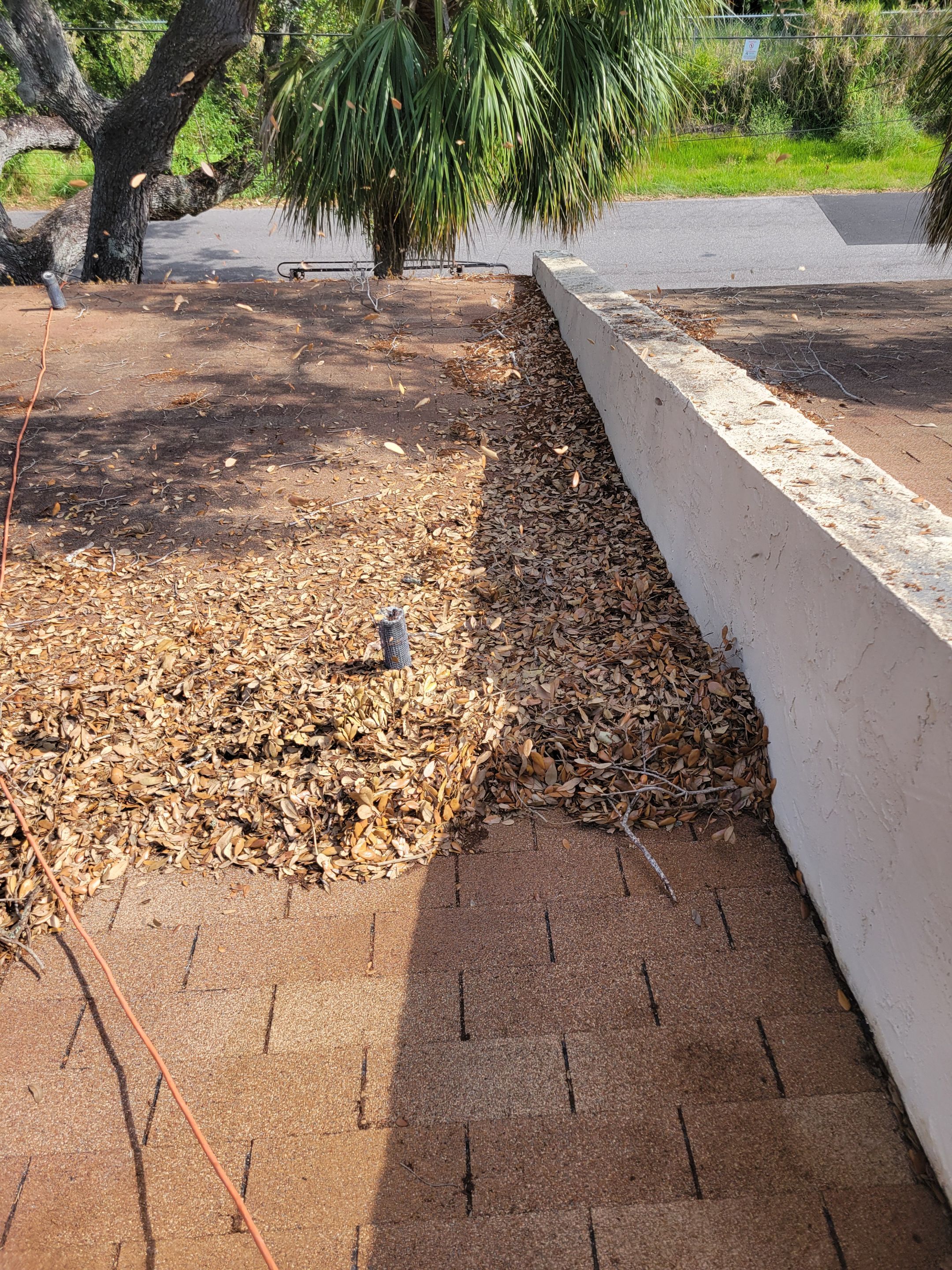 Gutter Cleaning and Inspection in Tampa FL by Gutter Professors