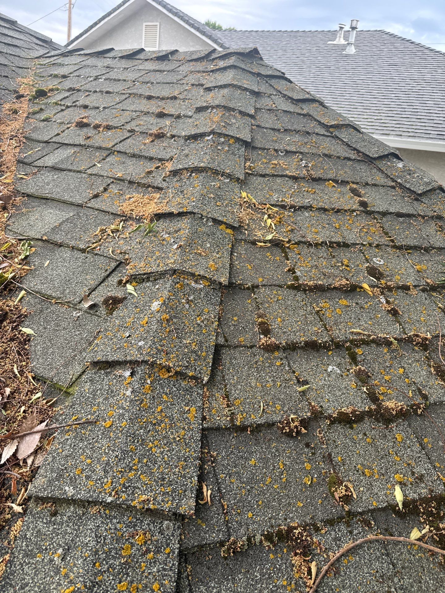 Roof Rejuvenation using Roof Maxx Treatment by Roof Maxx of Folsom