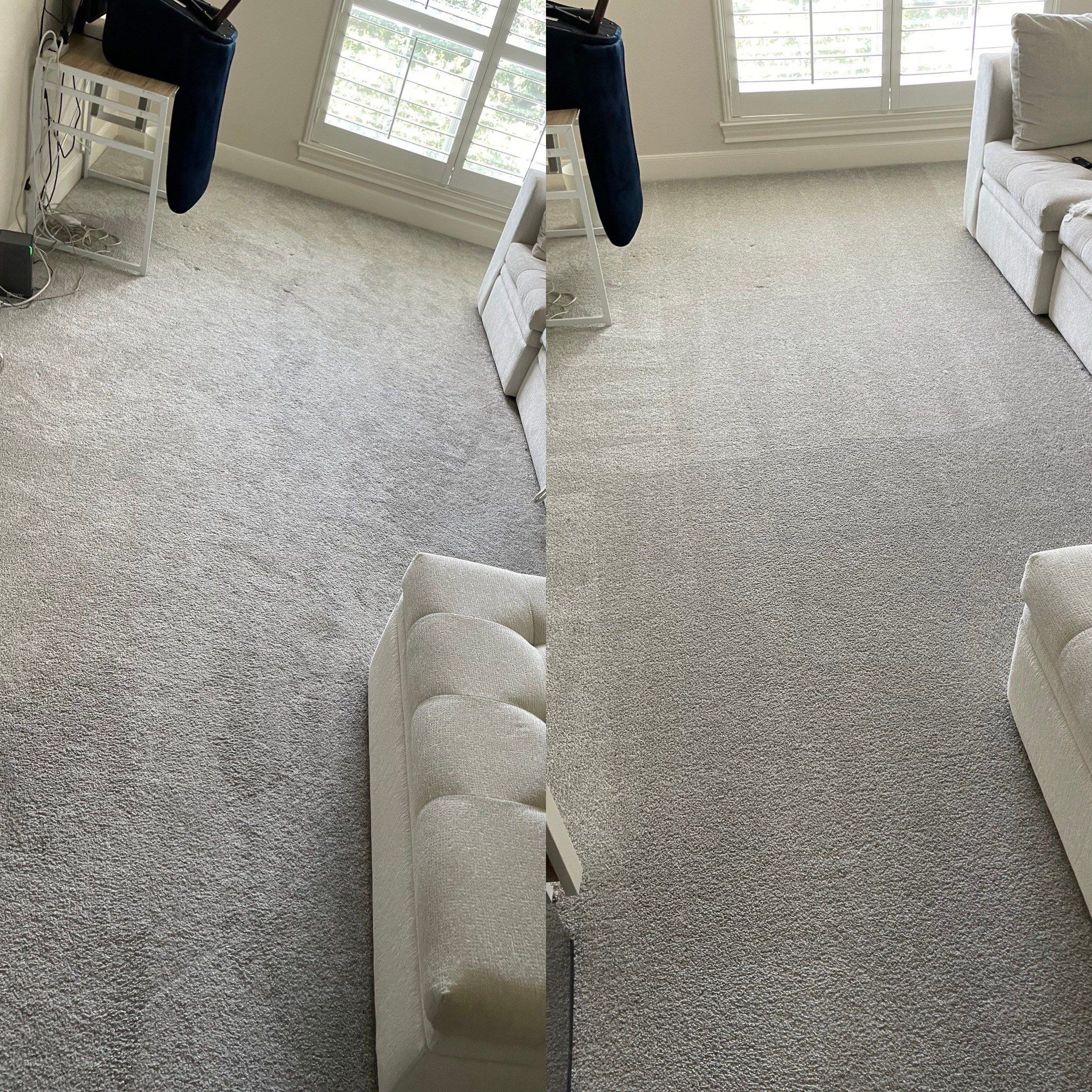 the service involves cleaning a carpet by removing dirt and stains improving overall appearance and hygiene of the space