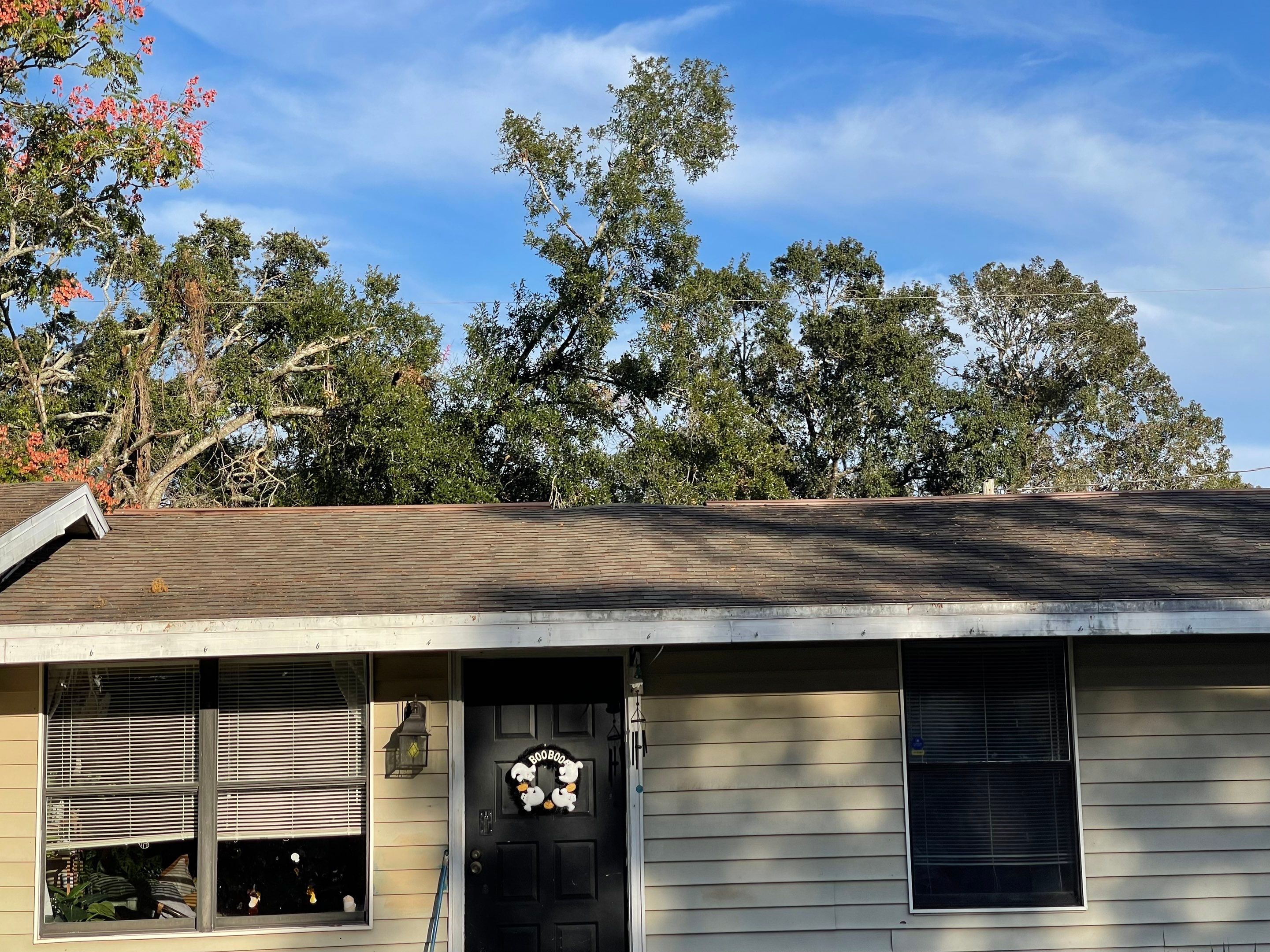 Shingle Reroof Replacement Sanford FL by Pinnacle Roofing Group