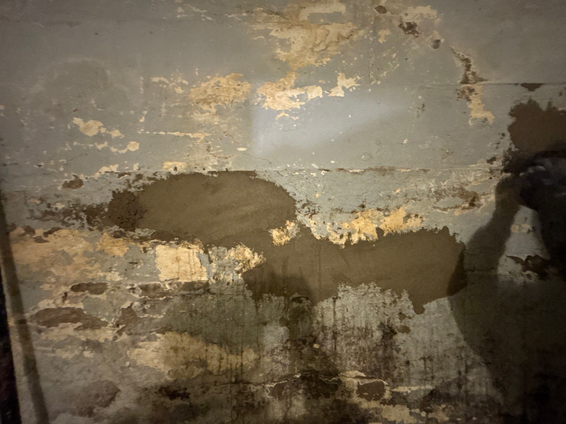 Retrofitting Drainage Board for Rachel by Waterproofing Northeast