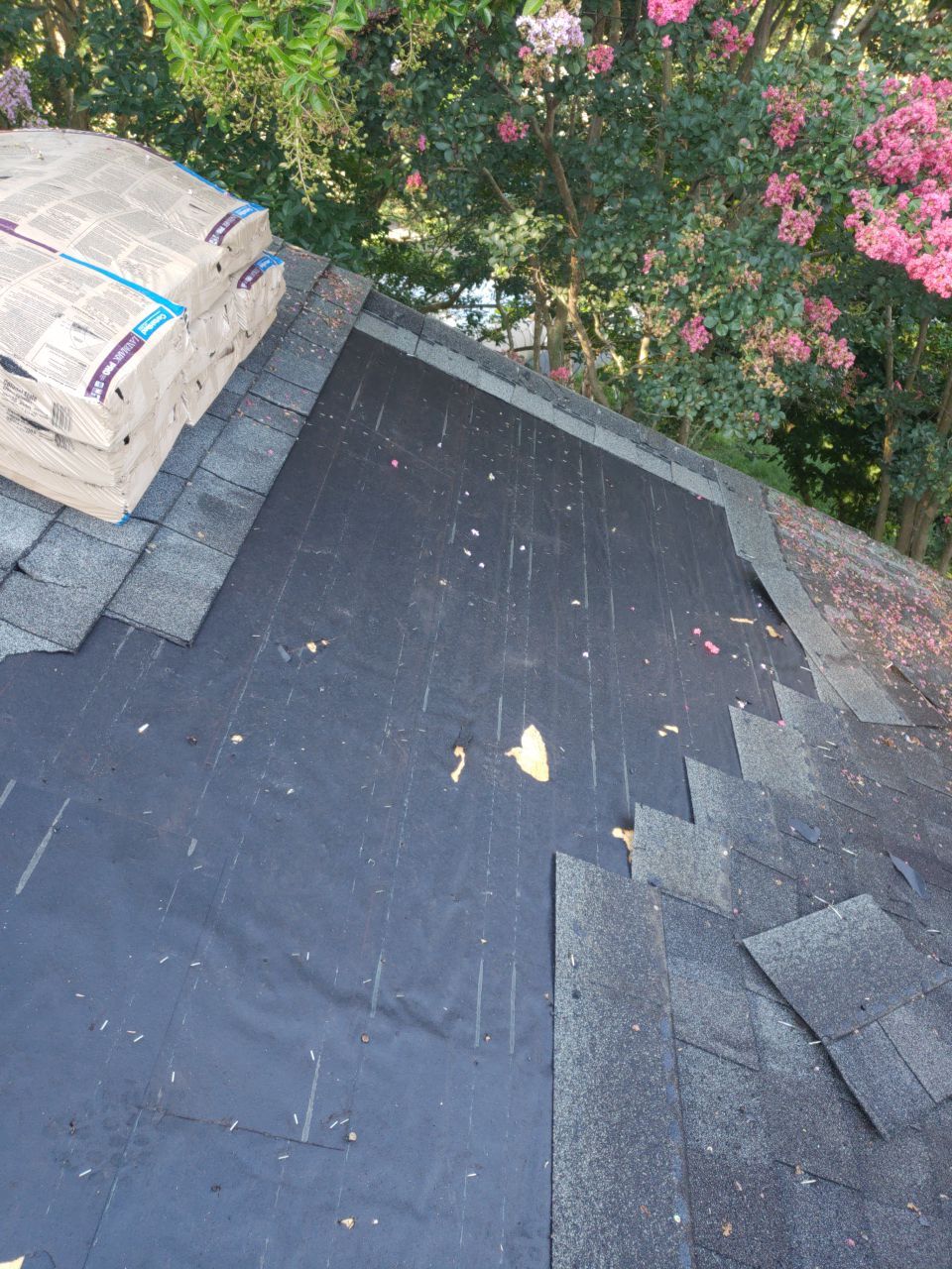 Alexandria: CertainTeed Landmark Pro Designer Shingles in Max Def Colonial Slate by RM Banning, Inc.