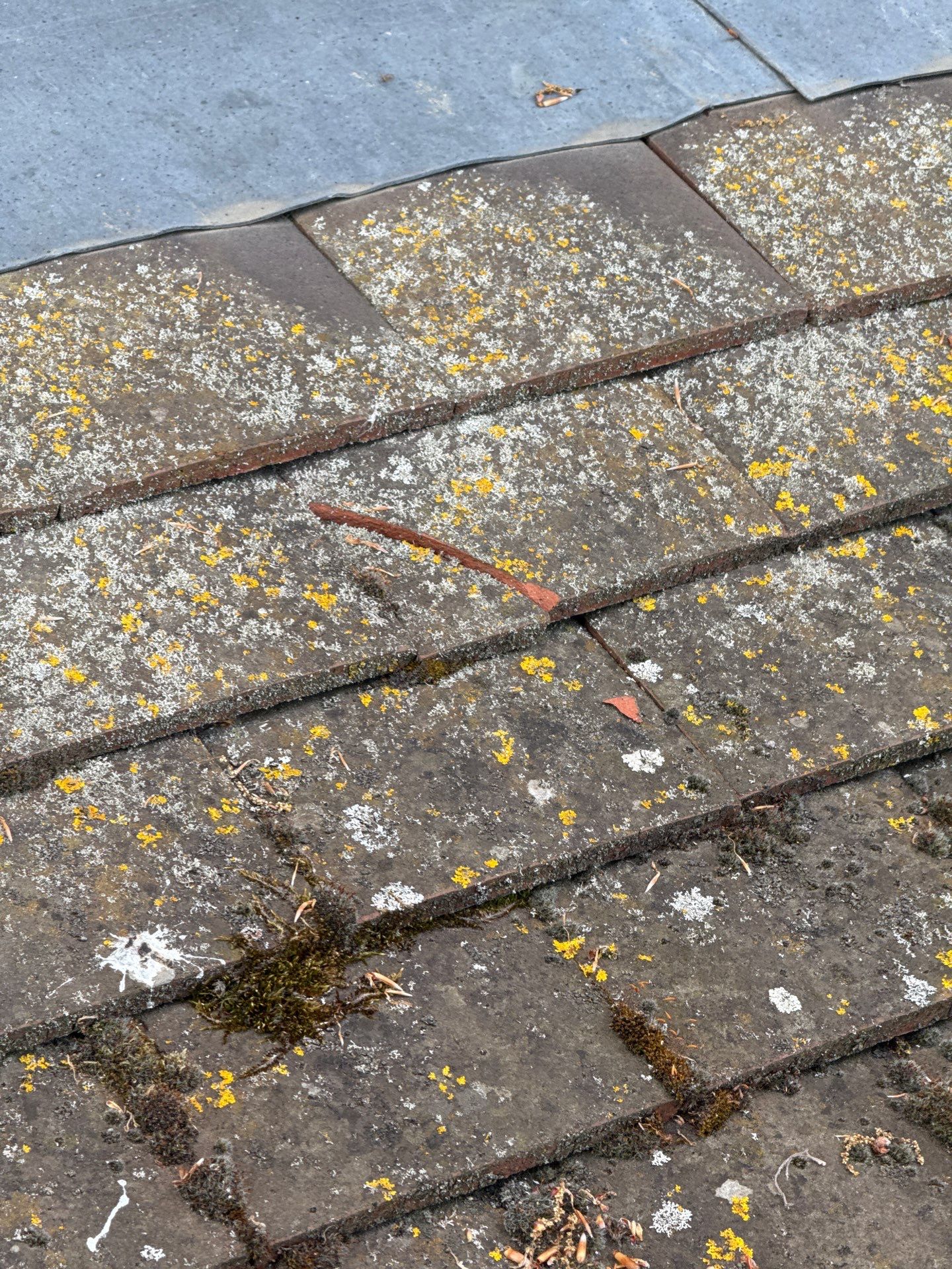Roof Cleaning by Ges Exterior Cleaning ltd