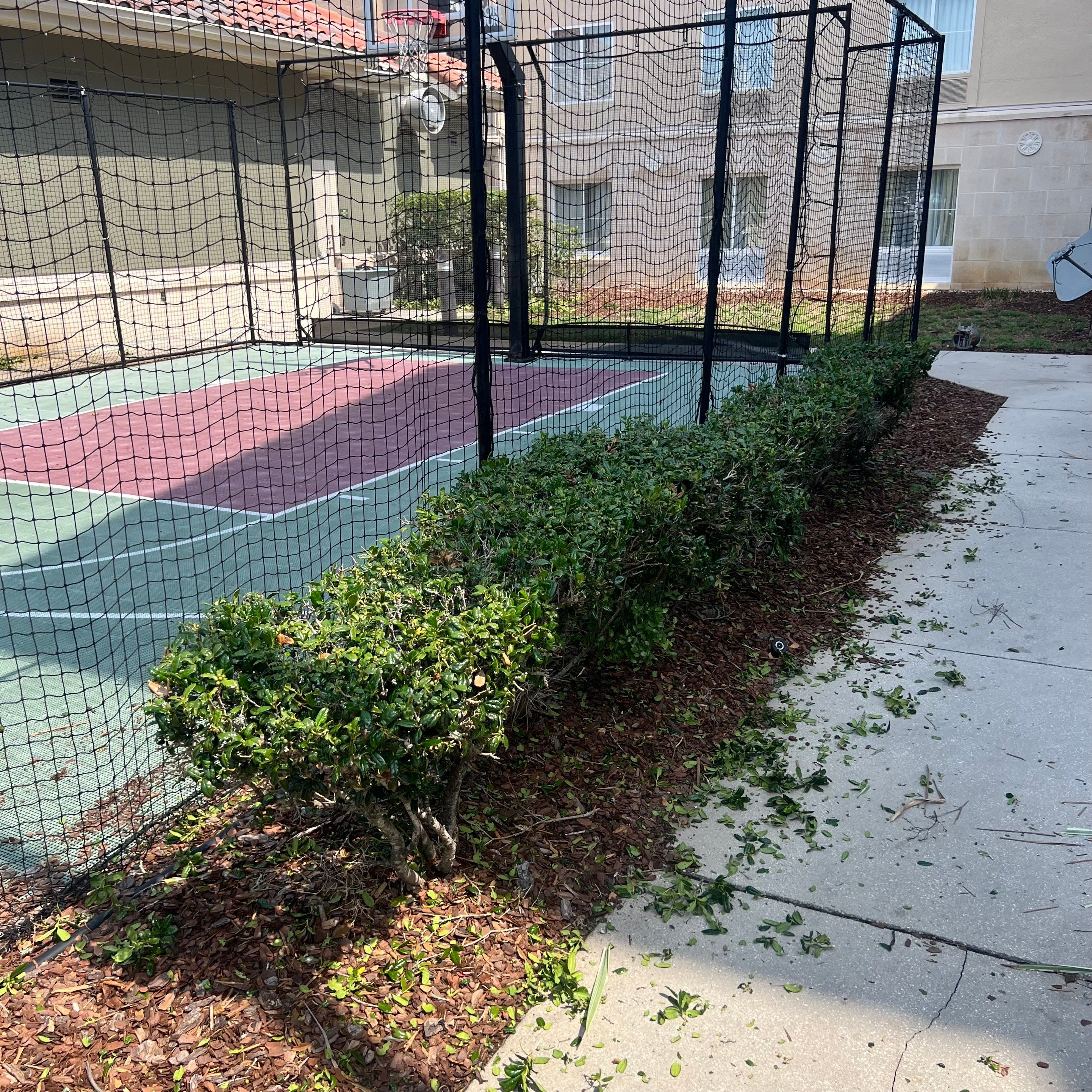 Homewood Suites | Tree Service by ProGreen Services