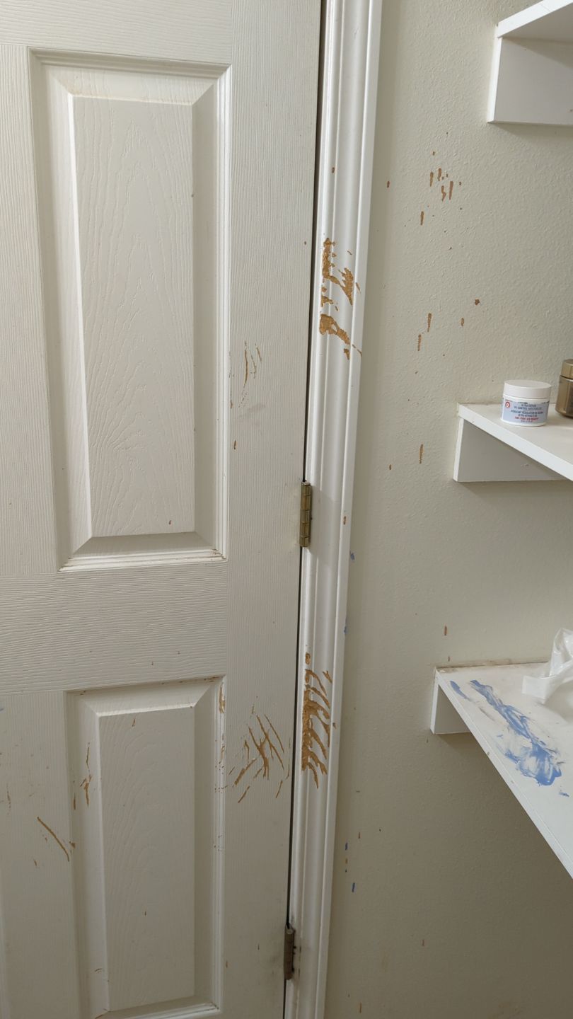 Beautiful Full Home Repaint by Midnight Sun Painting