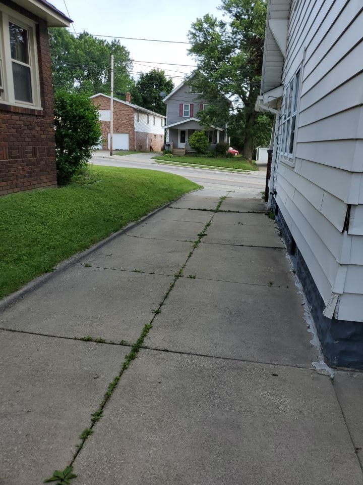 Tree Trimming using Tree Pruing by Mike Jones & Sons Tree Service LLC 