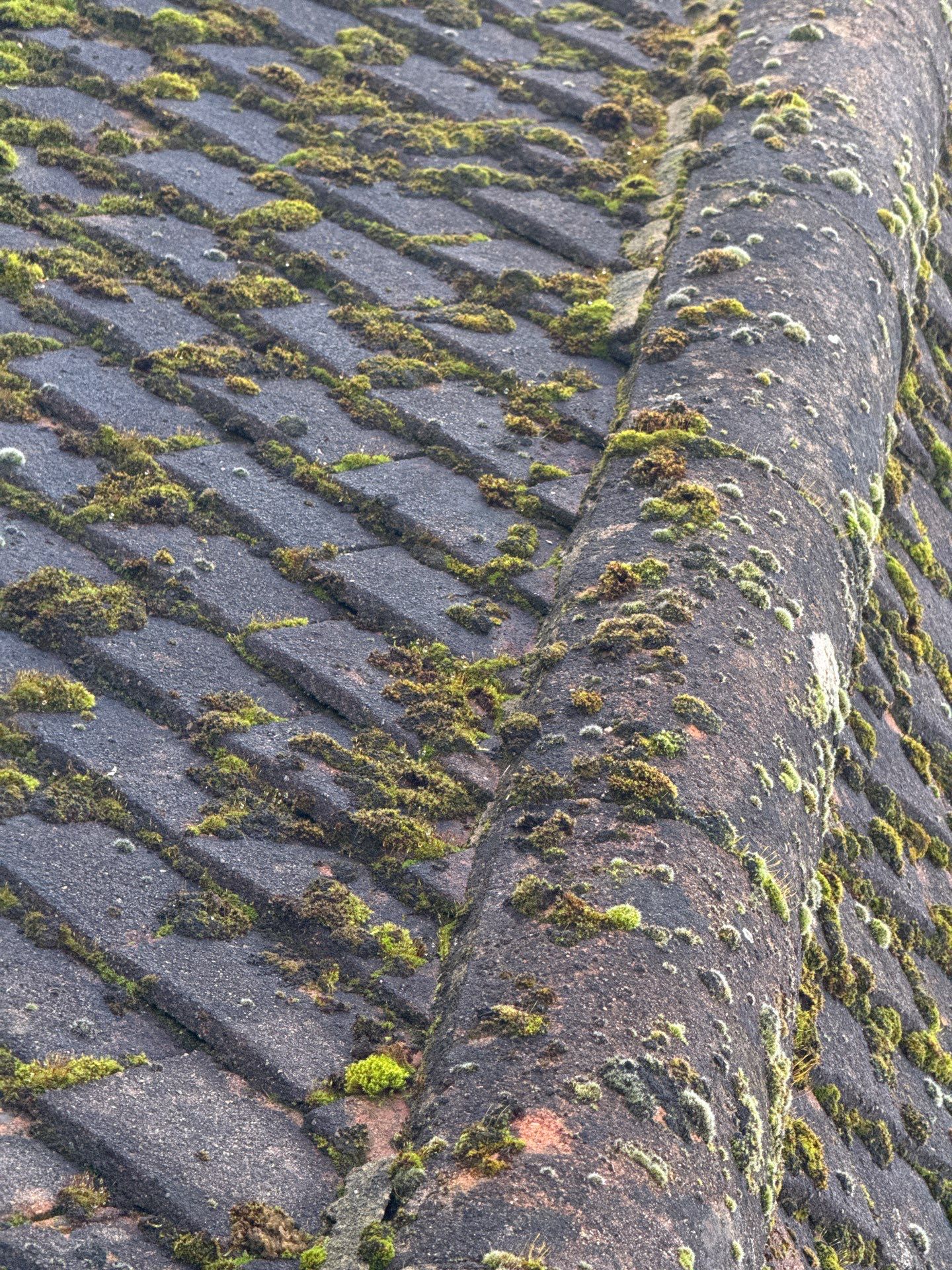 Roof And Driveway Clean by Ges Exterior Cleaning ltd