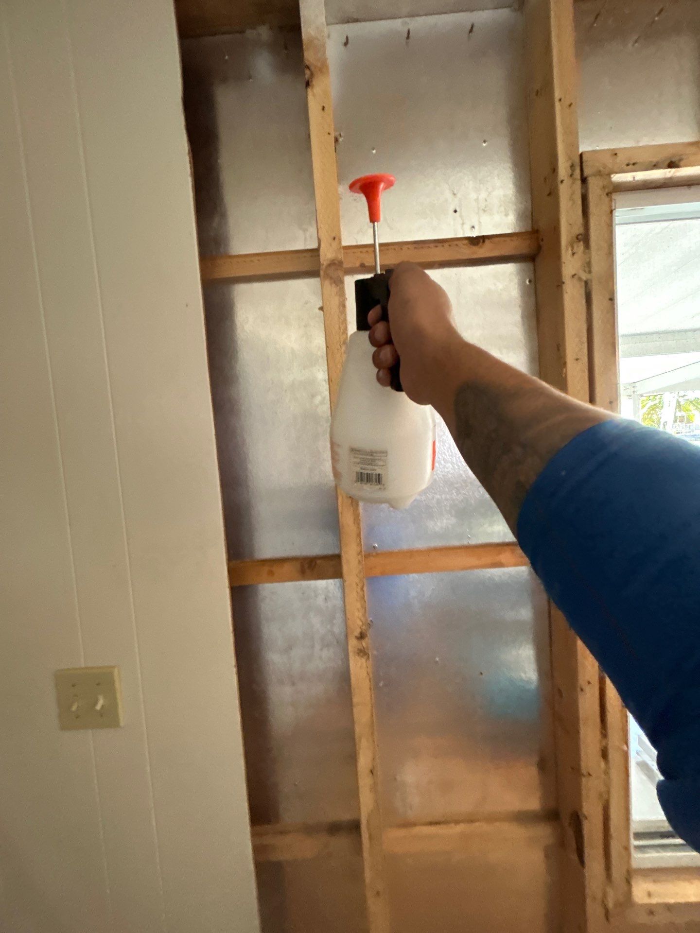 Mold Remediation Bradenton by Ampm Restoration Services 