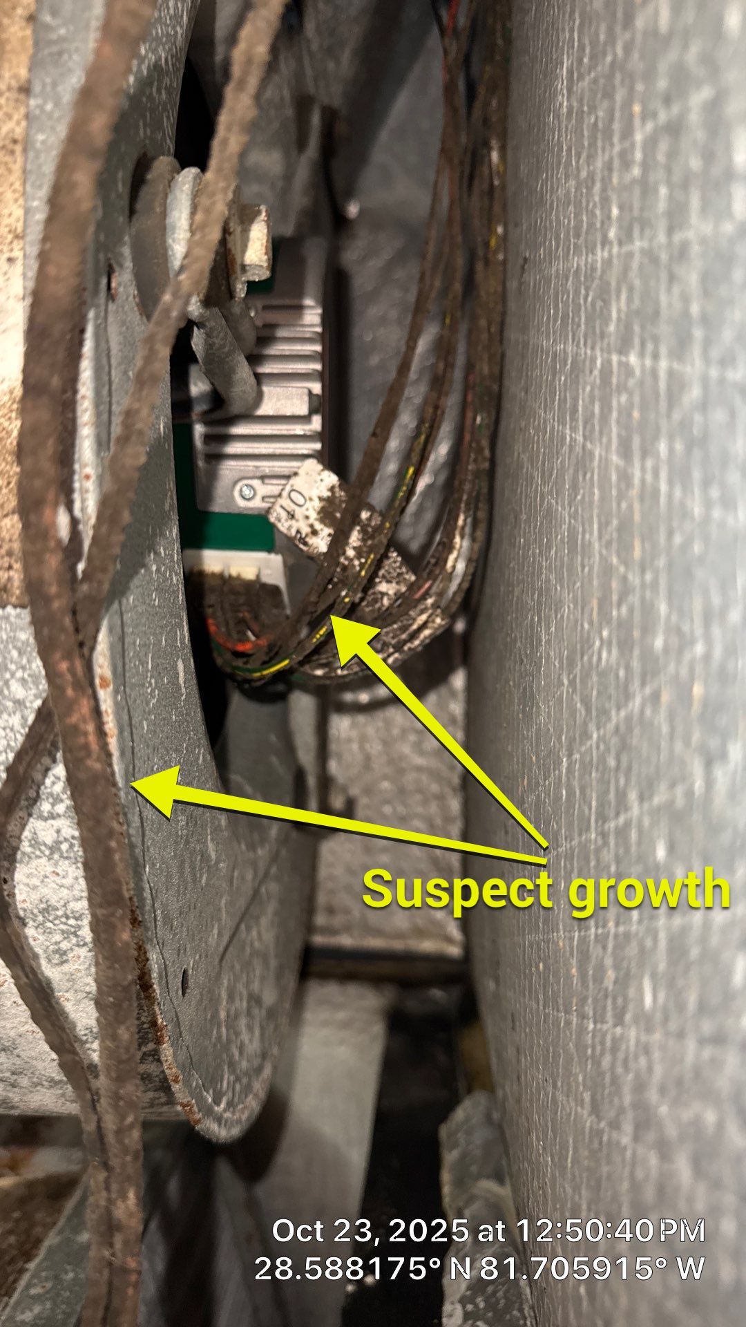AIr Duct and Dryer Vent Cleaning in Montverde by Hygienic Air, Inc